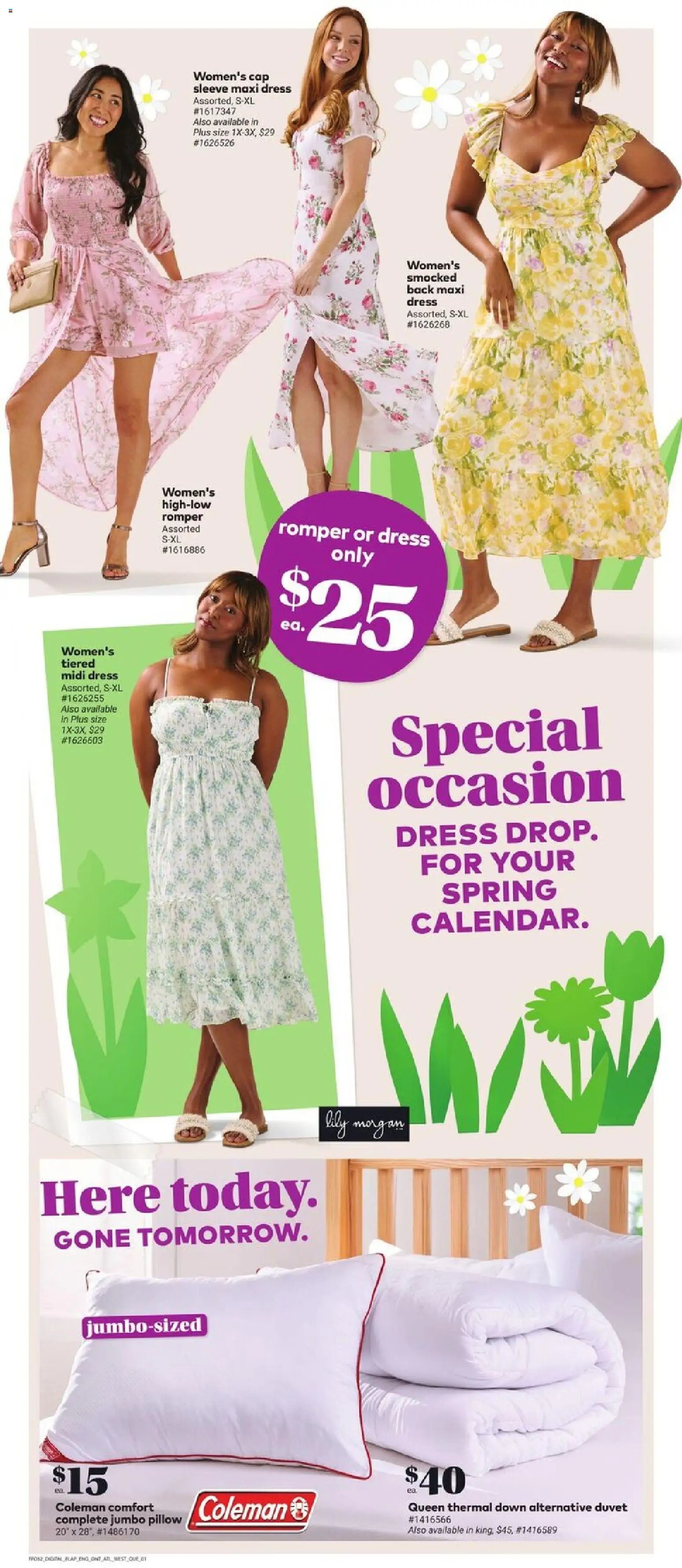 Giant Tiger flyer from 11.03.2026 Weekly Flyer