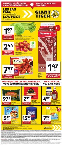 Giant Tiger flyer from 08.04.2026 Circulaire (2026-04-08 - 2026-04-14)