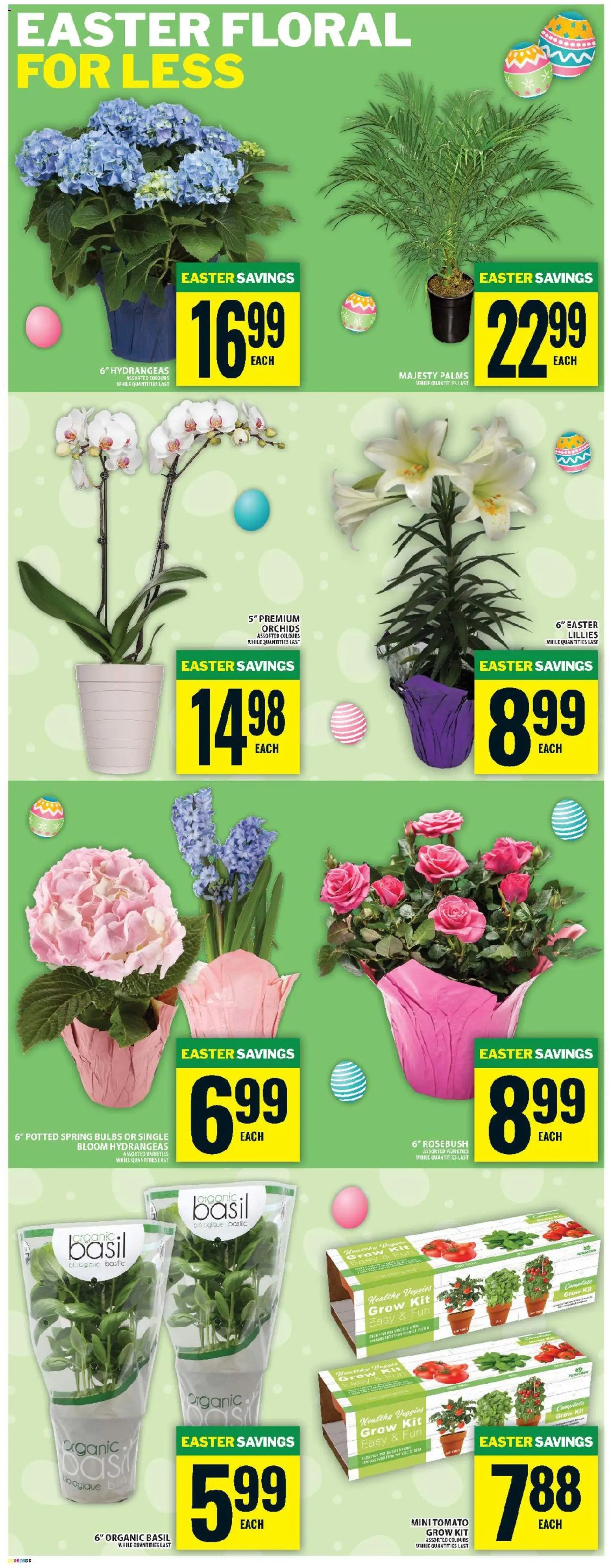 Food Basics flyer from 26.03.2026 Food Basics weekly flyer / circulaire