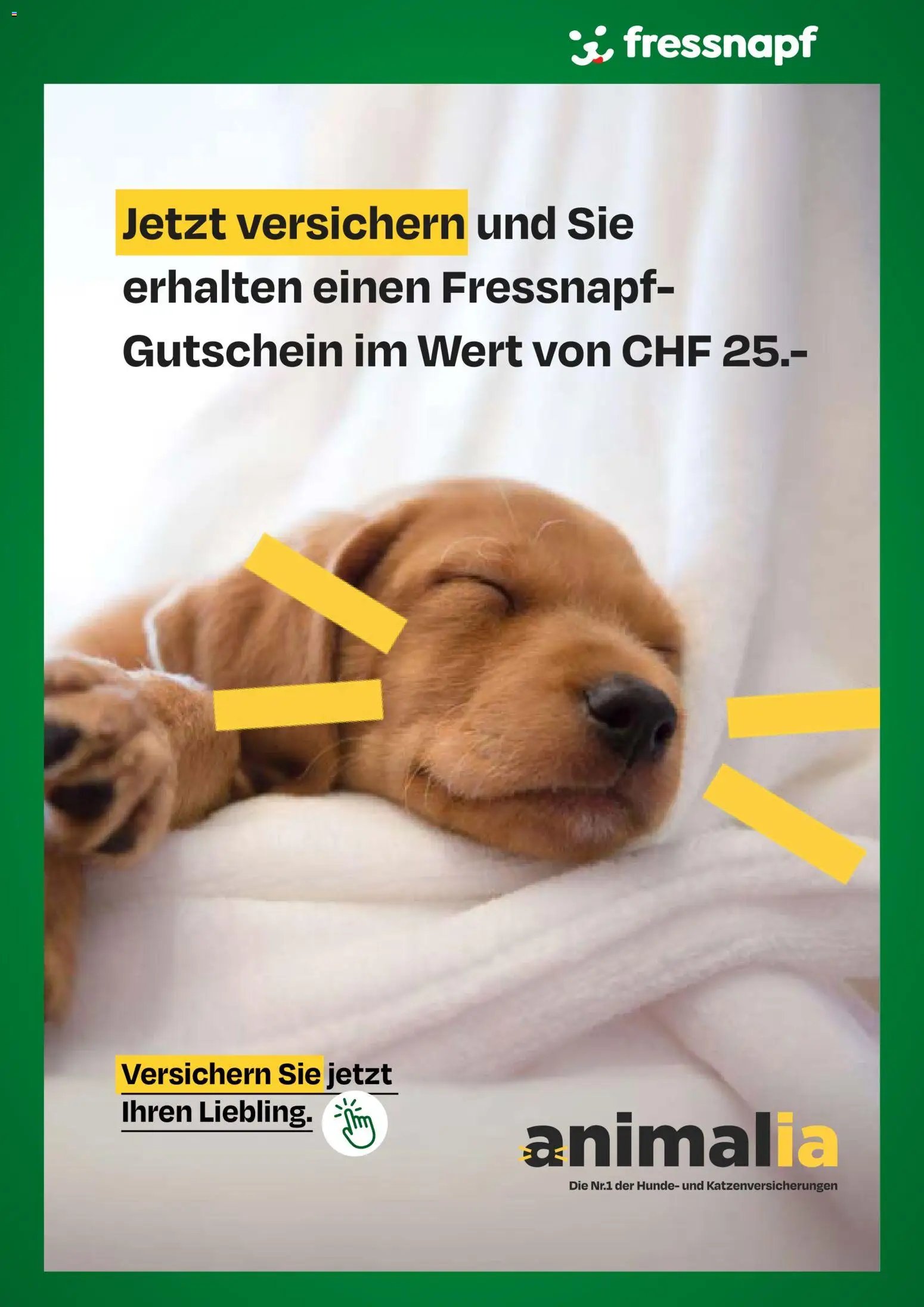 Fressnapf aktion seit 28.07.2026 Fressnapf aktionen