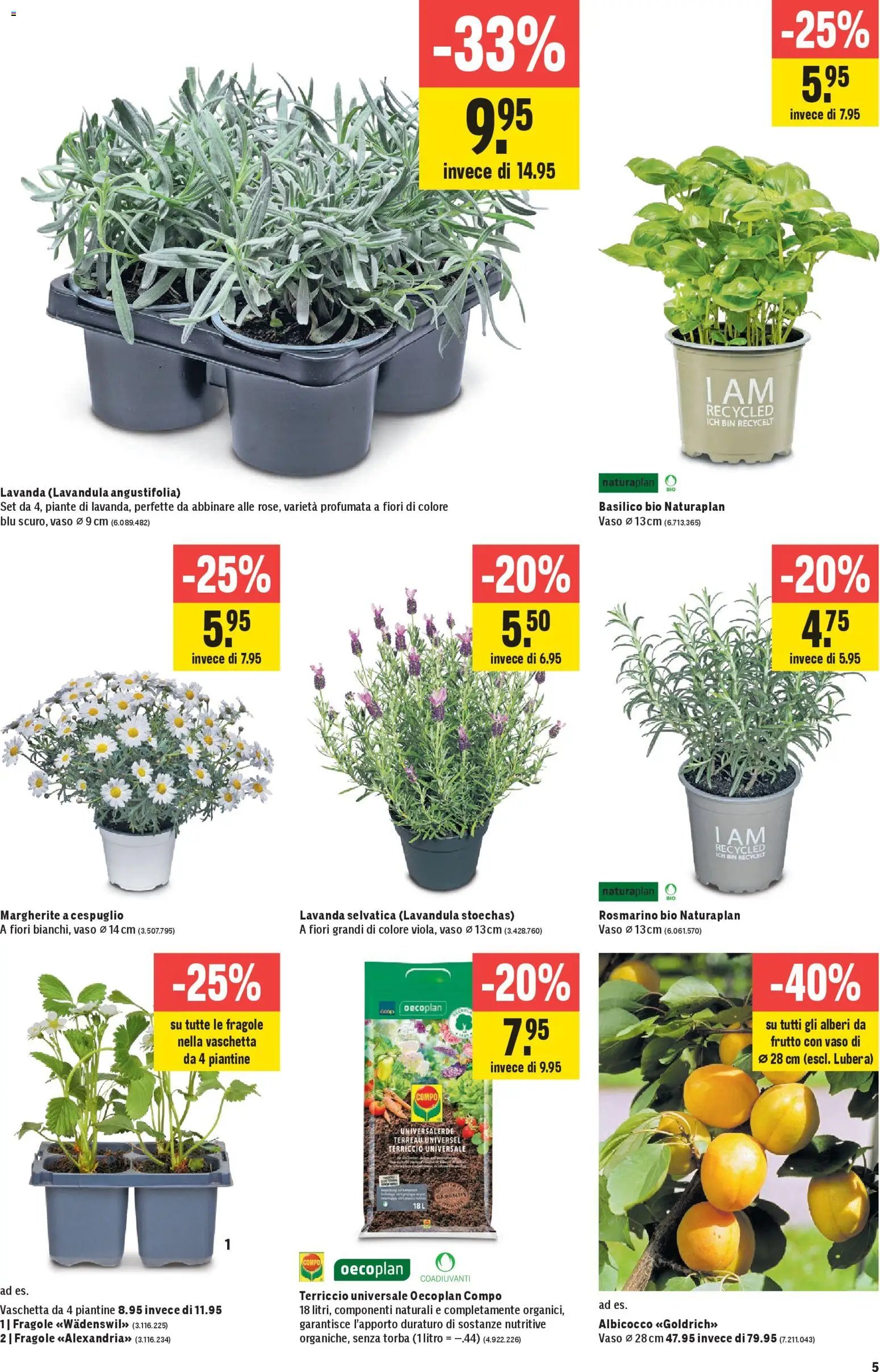 Jumbo aktion seit 26.03.2026 Jumbo aktionen IT (2026-03-26 - 2026-04-08) | 5