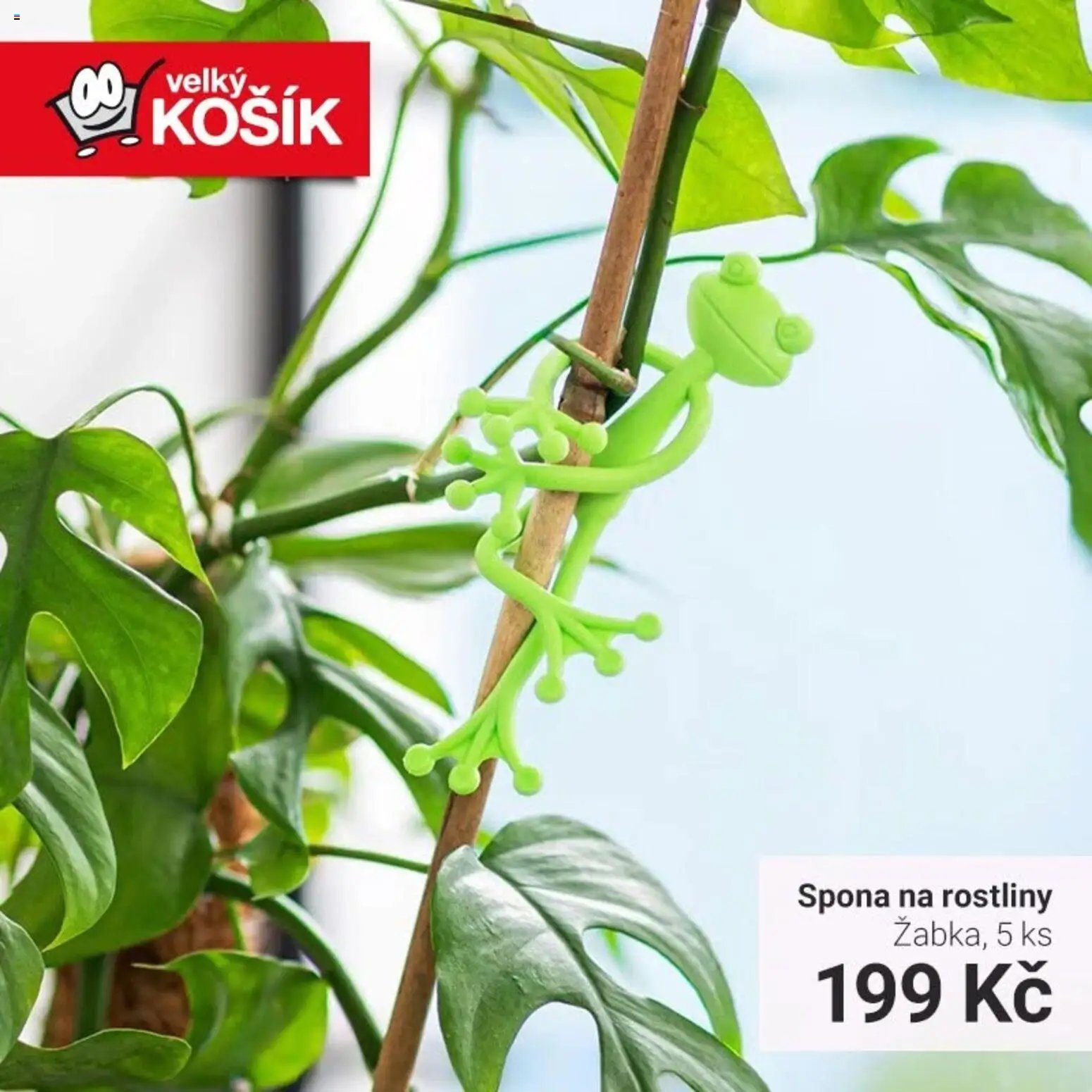 Velký Košík leták od 02.09.2026 Velký Košík leták