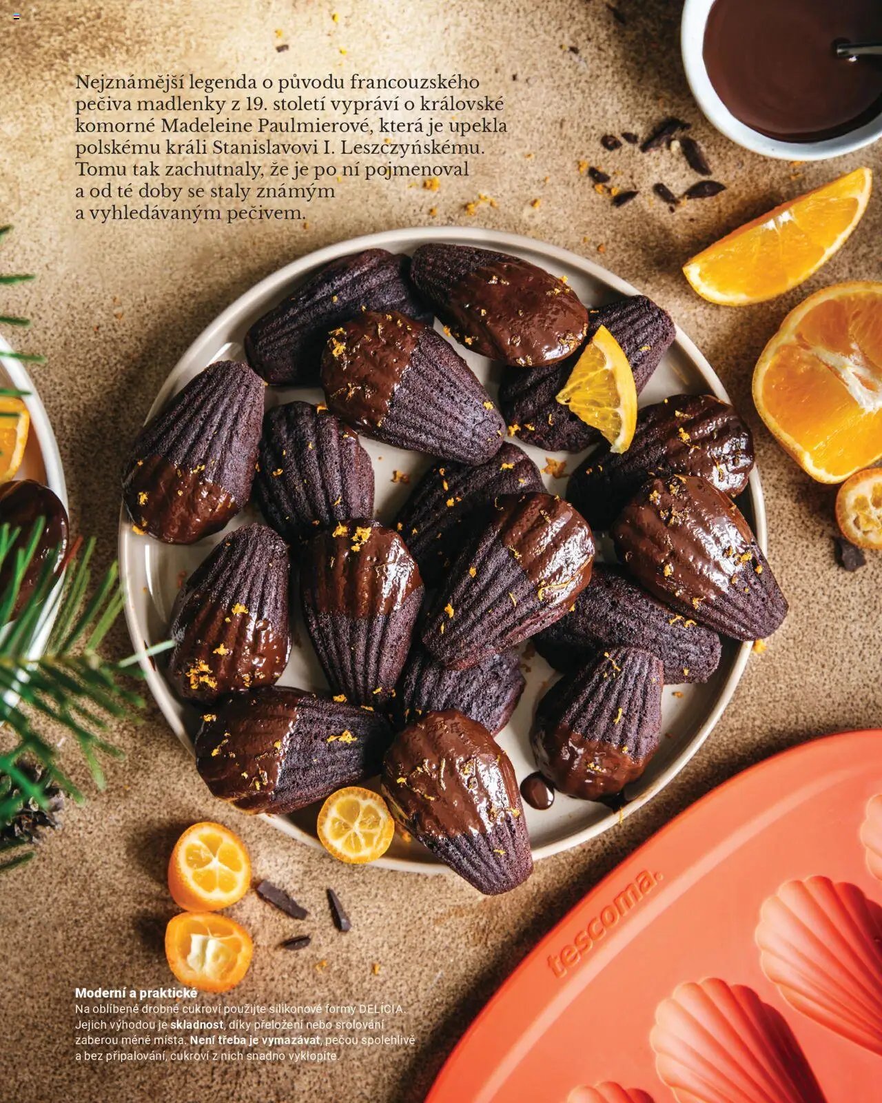 TESCOMA leták od 20.10.2025 Katalog - Podzim/zima 2025 (2025-10-20)