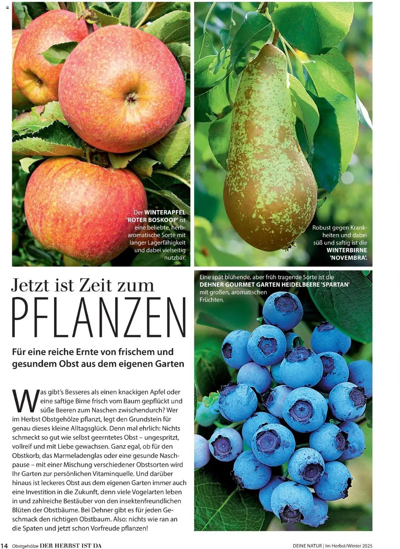 Dehner prospekt seit 09.10.2025 Prospekt Deine Natur (2025-10-09)