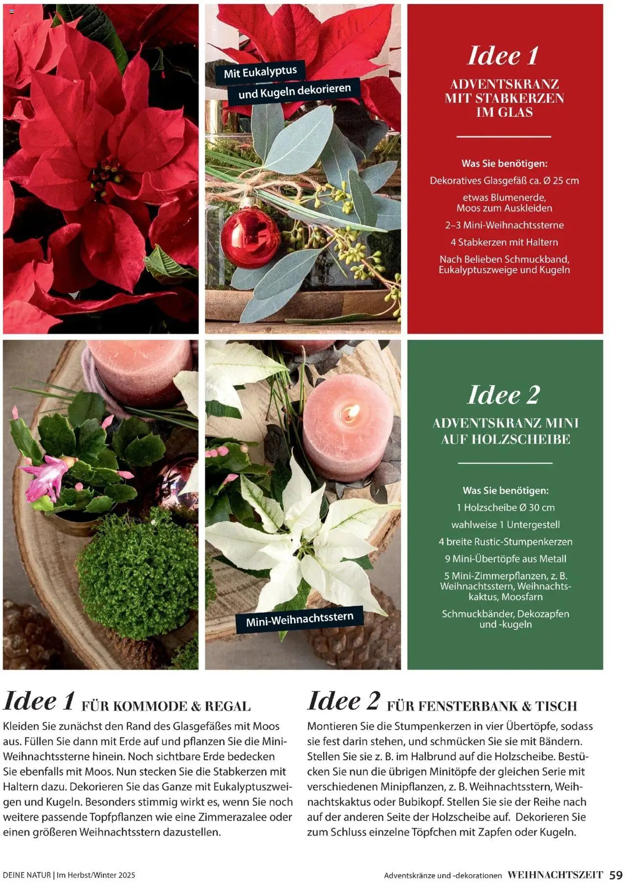 Dehner prospekt seit 09.10.2025 Prospekt Deine Natur (2025-10-09)