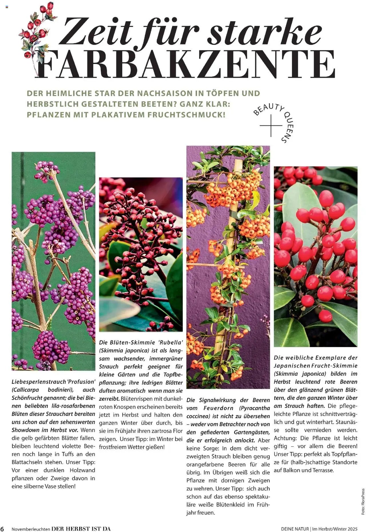 Dehner prospekt seit 09.10.2025 Prospekt Deine Natur (2025-10-09)