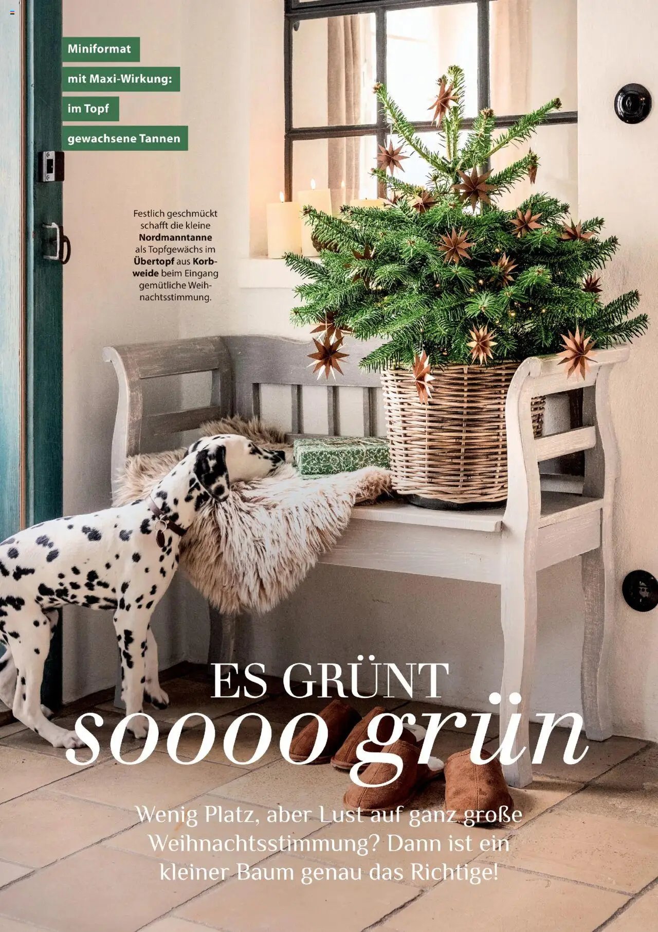 Dehner prospekt seit 09.10.2025 Prospekt Deine Natur (2025-10-09)