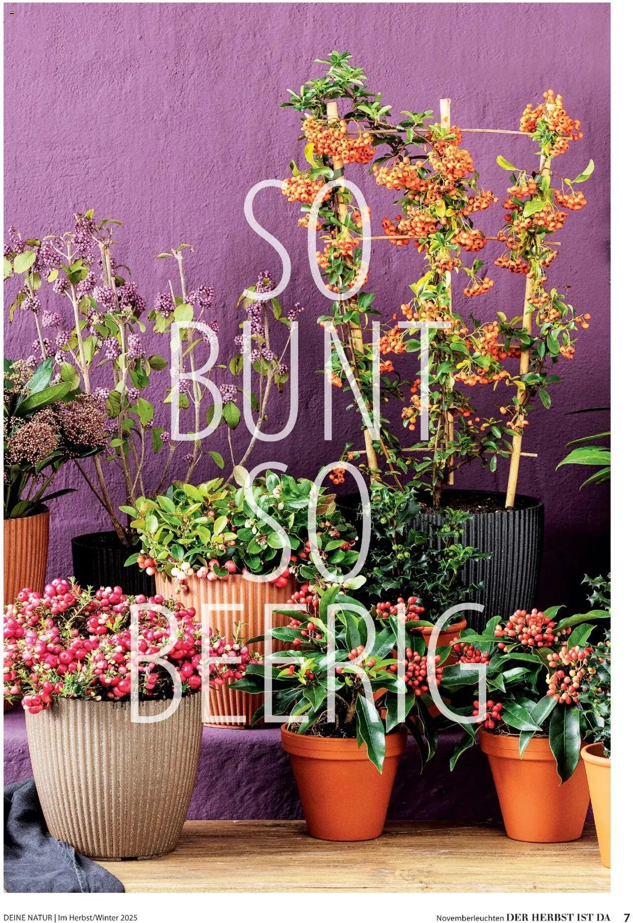 Dehner prospekt seit 09.10.2025 Prospekt Deine Natur (2025-10-09)