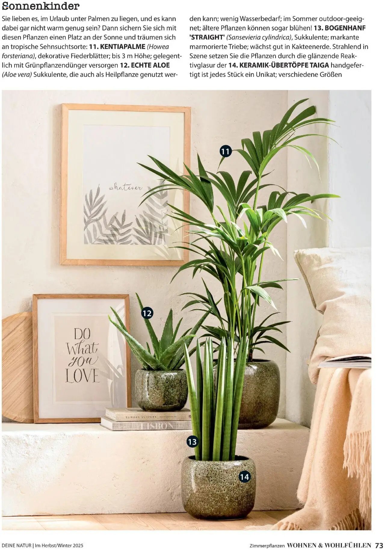 Dehner prospekt seit 09.10.2025 Prospekt Deine Natur (2025-10-09)