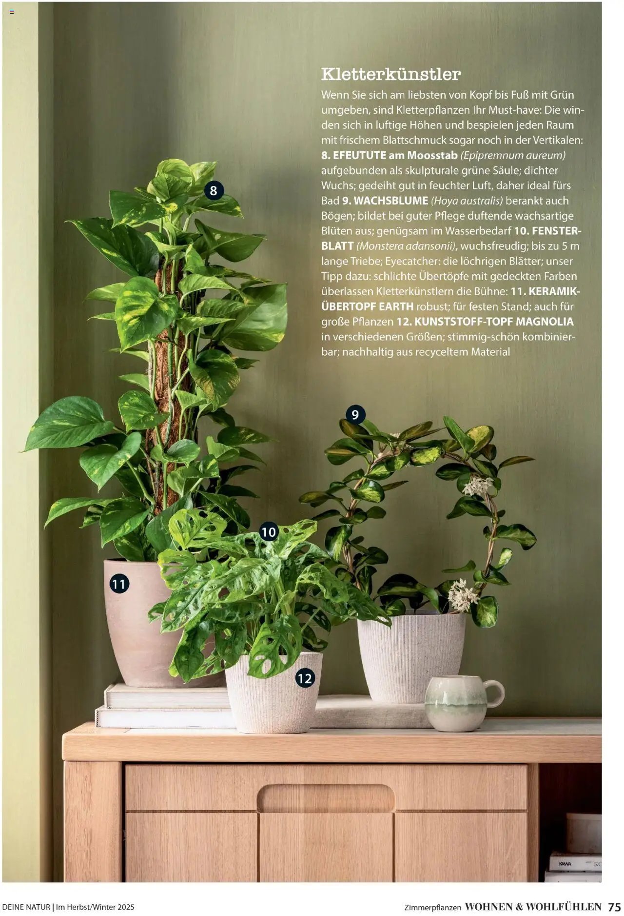 Dehner prospekt seit 09.10.2025 Prospekt Deine Natur (2025-10-09)