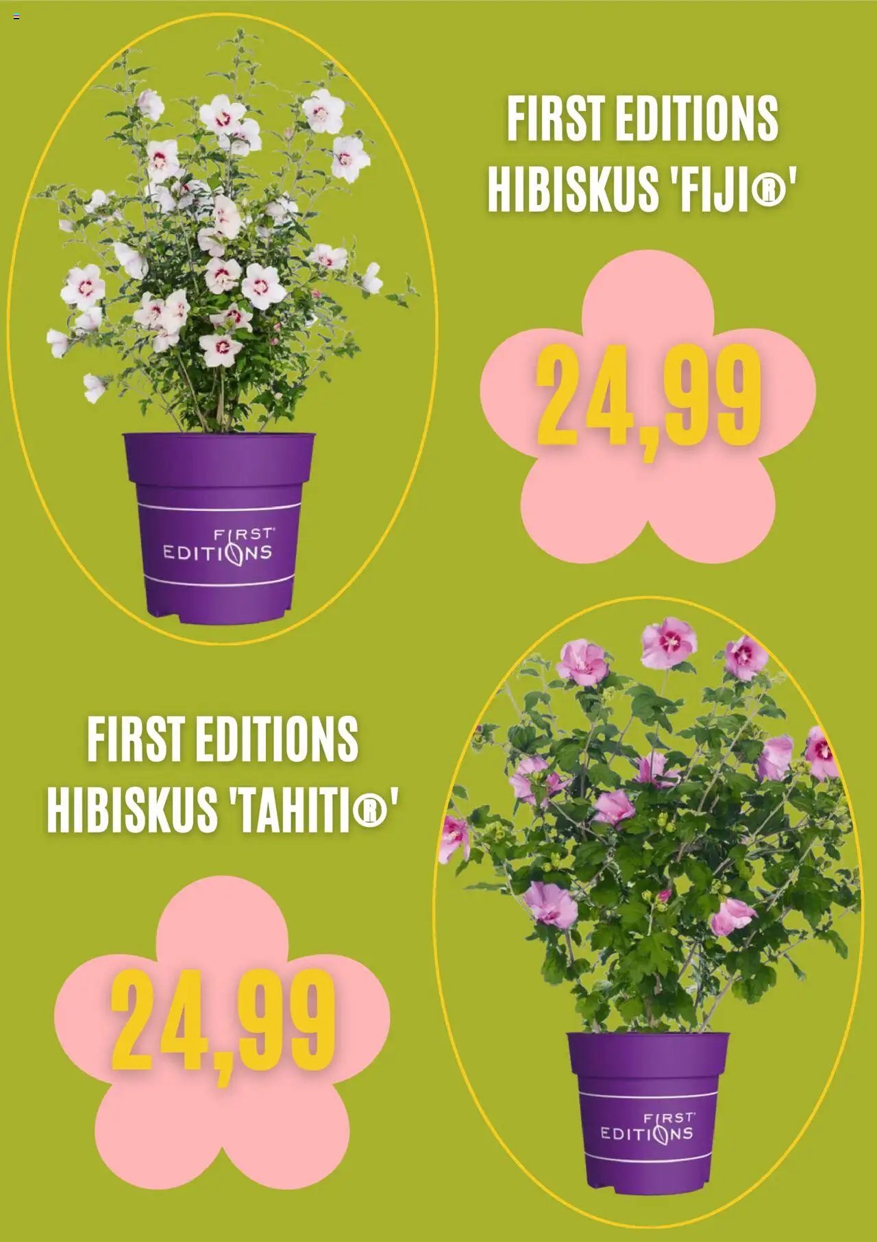 Blumen Risse prospekt seit 03.09.2025 Prospekt (2025-09-03 - 2025-10-03) | 2