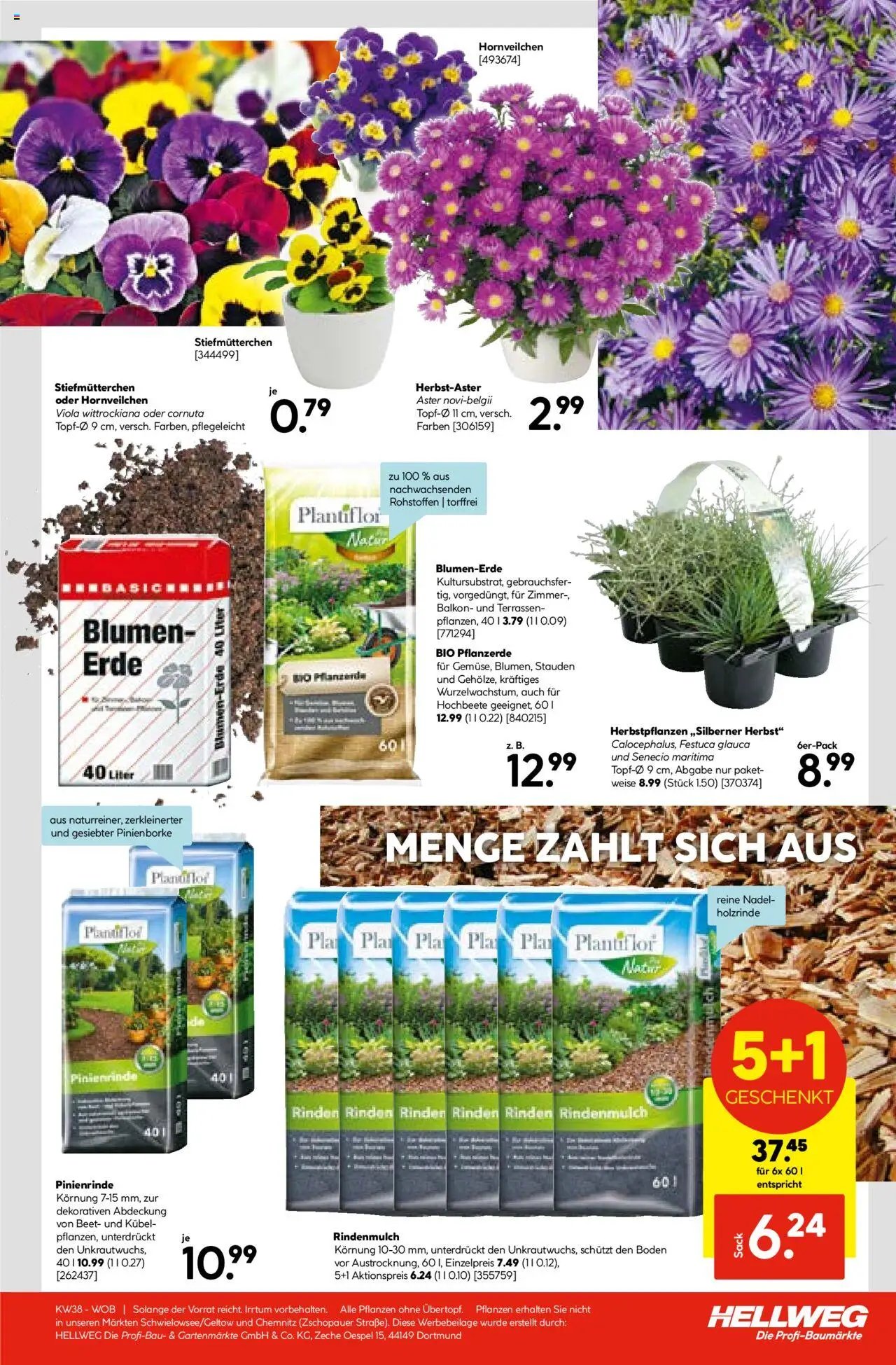 Hellweg prospekt seit 15.09.2025 Prospekt