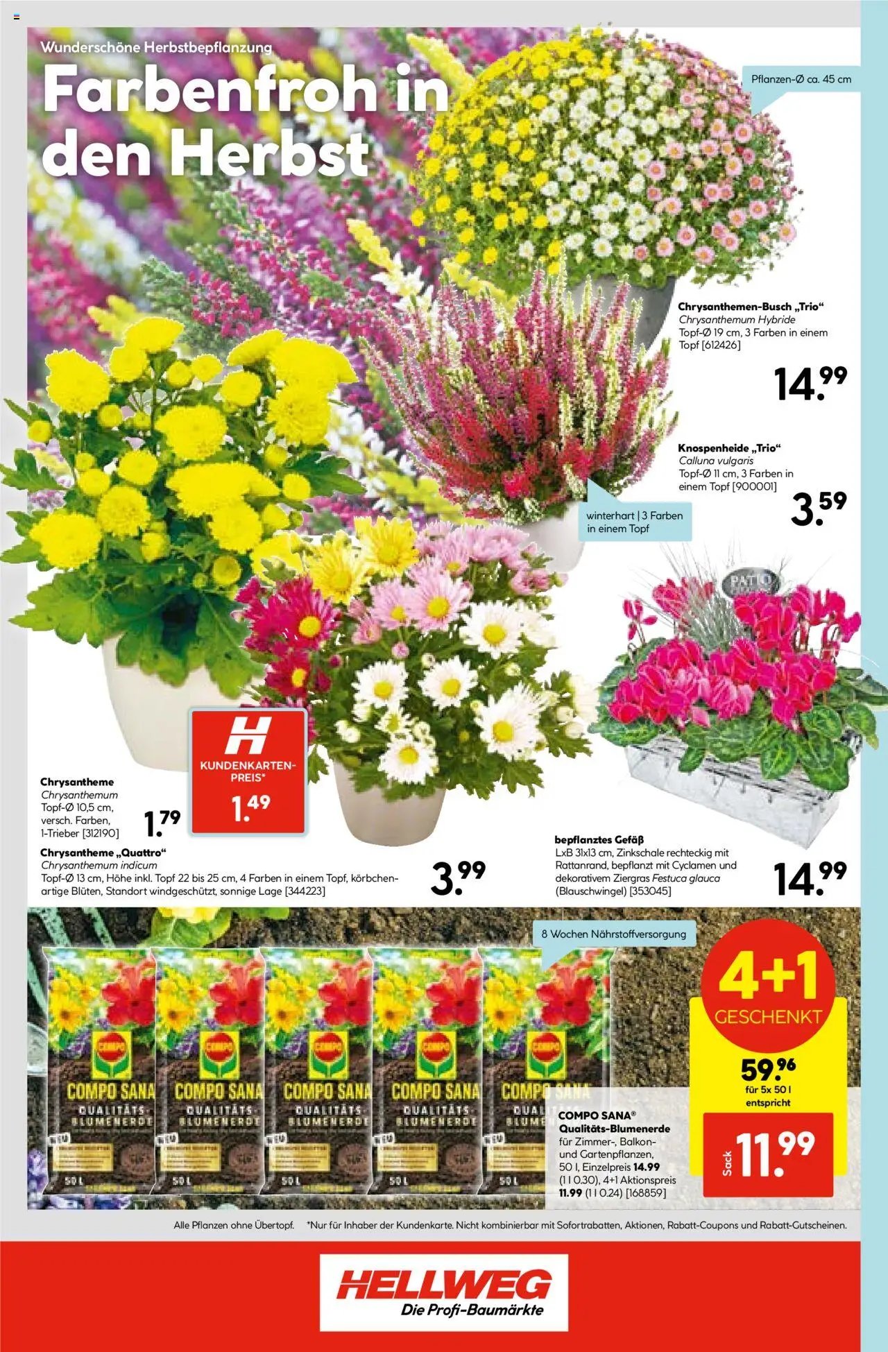 Hellweg prospekt seit 15.09.2025 Prospekt