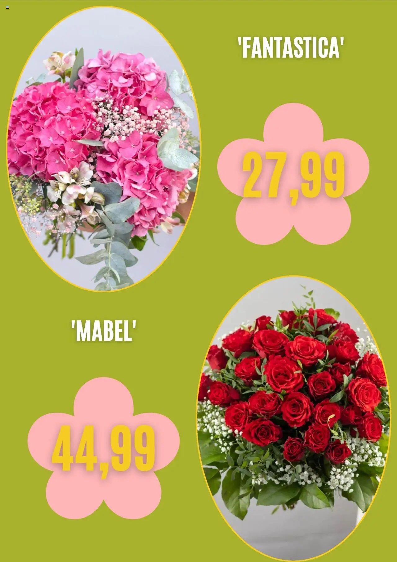 Blumen Risse prospekt seit 01.08.2025 Prospekt (2025-08-01 - 2025-08-30) | 5