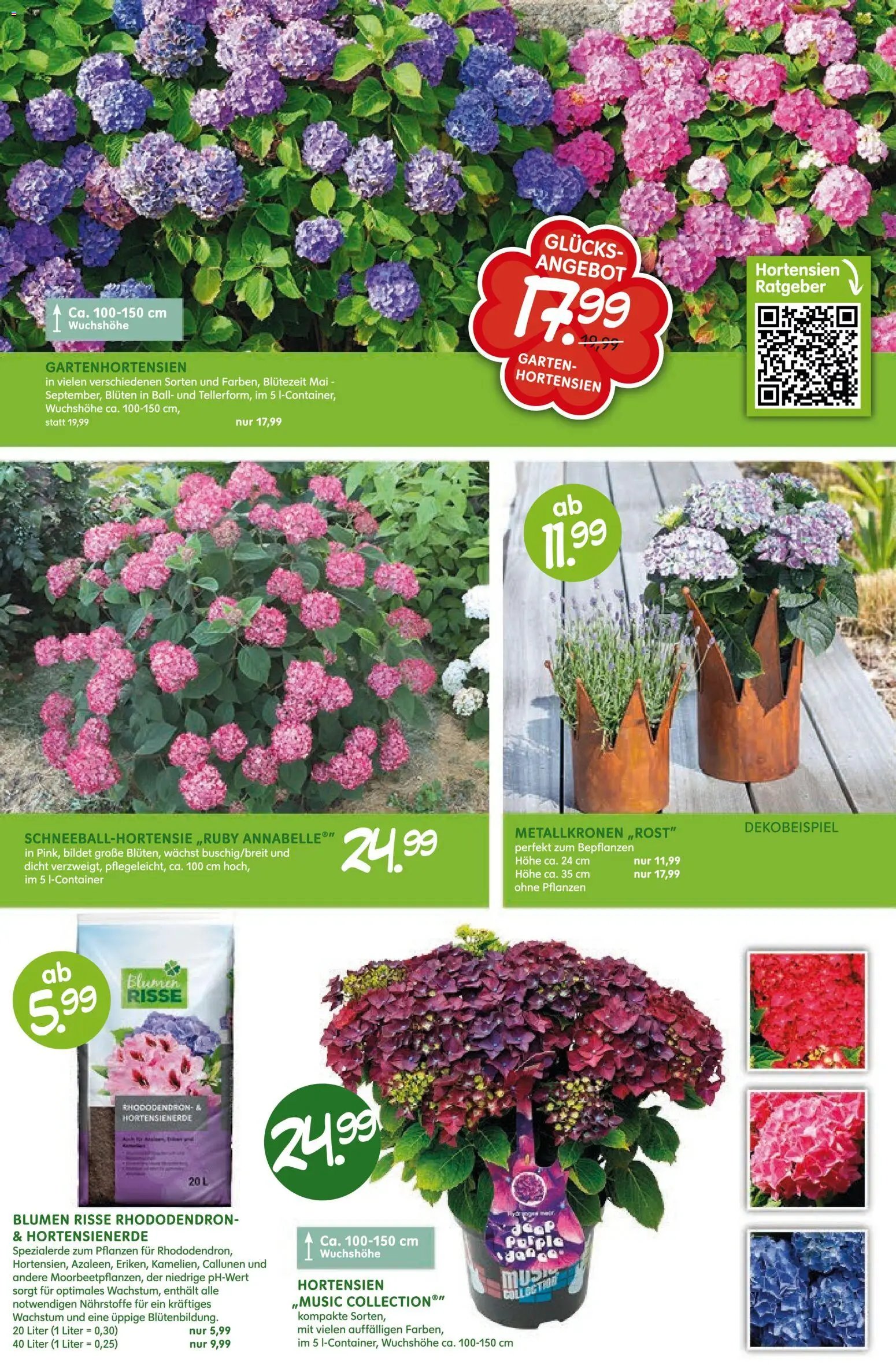 Blumen Risse prospekt seit 28.05.2026 Blumen Risse Blütenglück