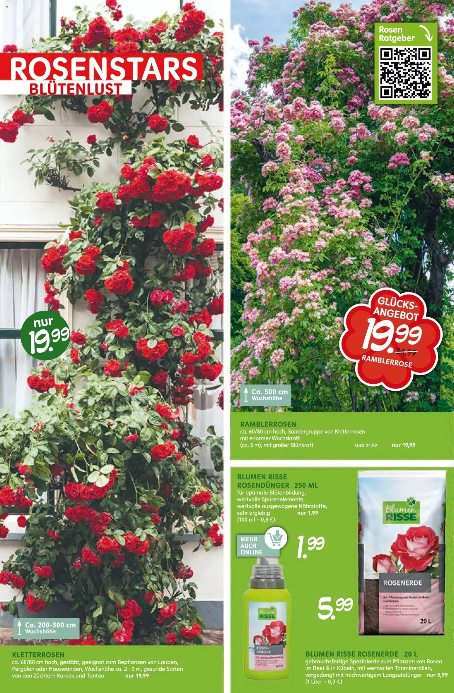 Blumen Risse prospekt seit 28.05.2026 Blumen Risse Blütenglück