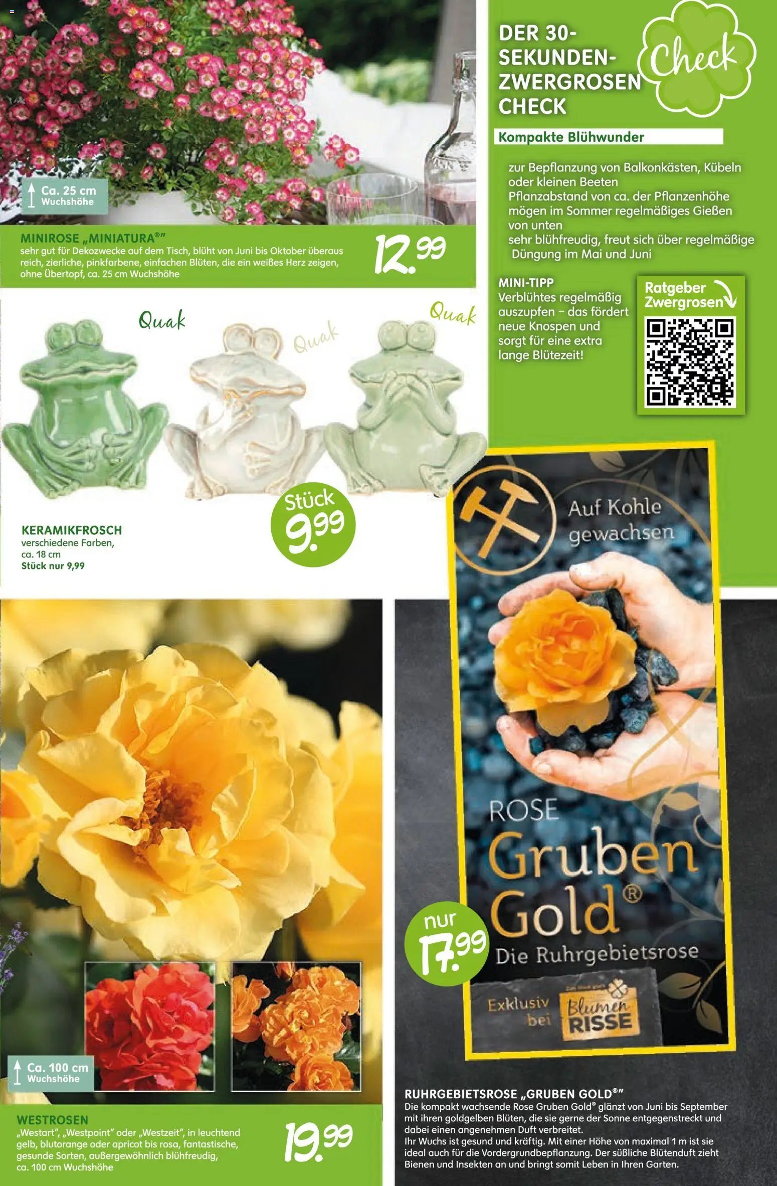 Blumen Risse prospekt seit 28.05.2026 Blumen Risse Blütenglück