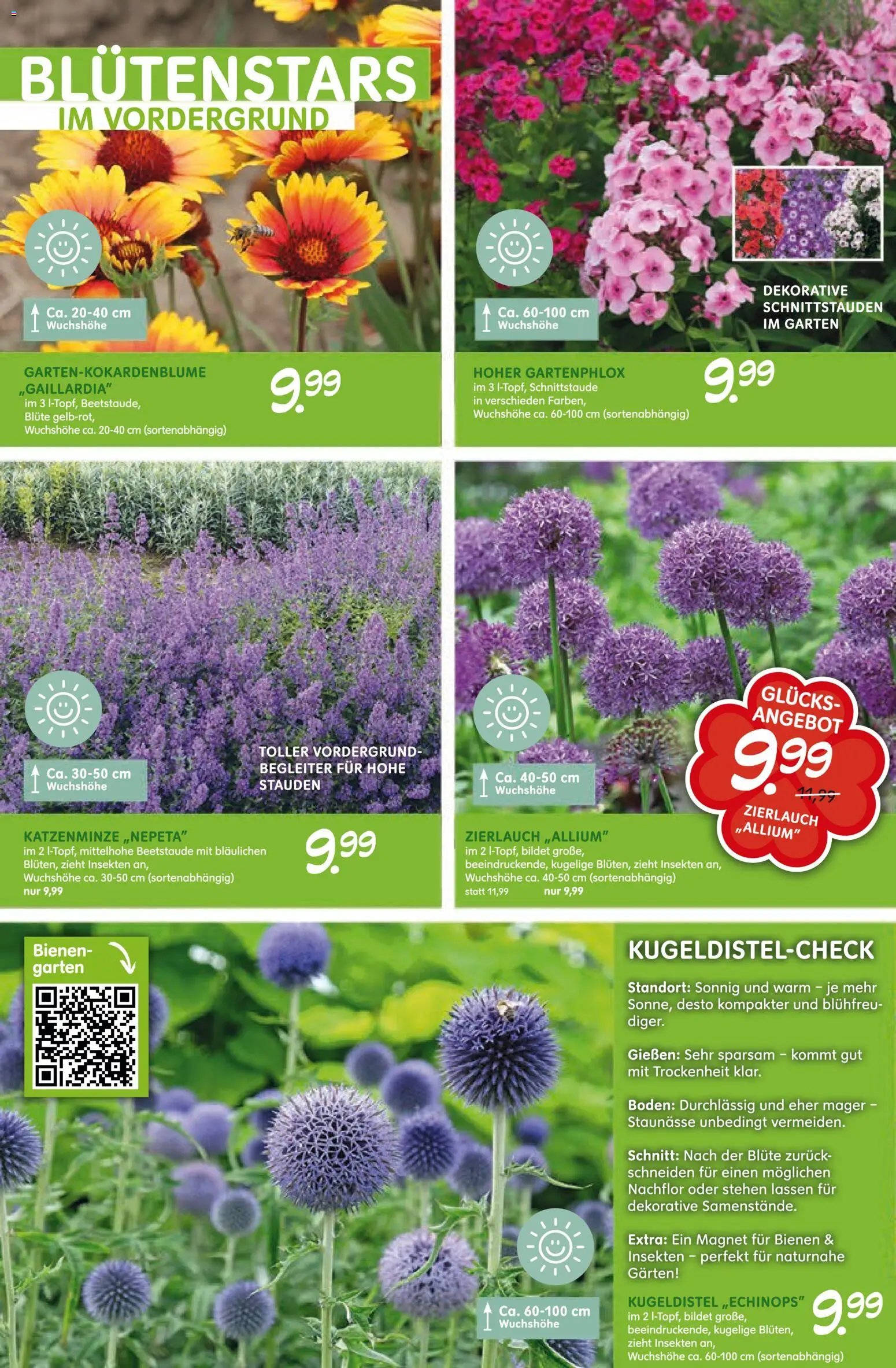 Blumen Risse prospekt seit 28.05.2026 Blumen Risse Blütenglück