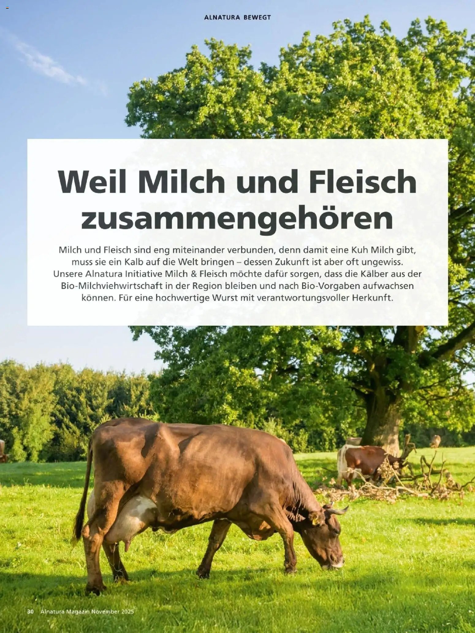 Alnatura prospekt seit 01.11.2025 Prospekt