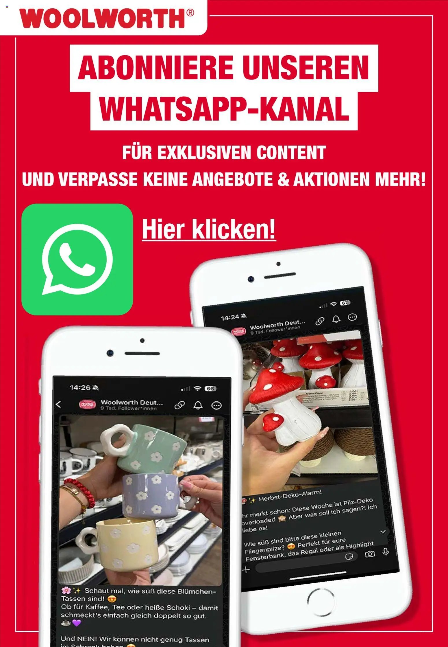 Woolworth prospekt seit 14.11.2025 Prospekt (2025-11-14)