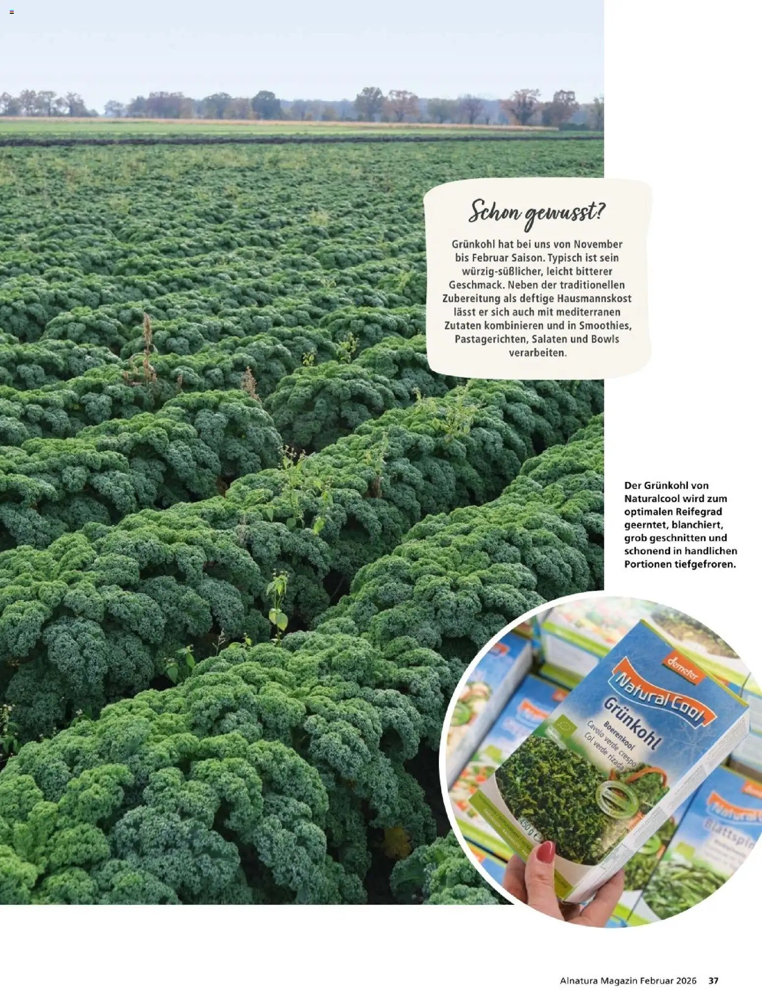 Alnatura prospekt seit 01.02.2026 Prospekt (2026-02-01 - 2026-02-28)