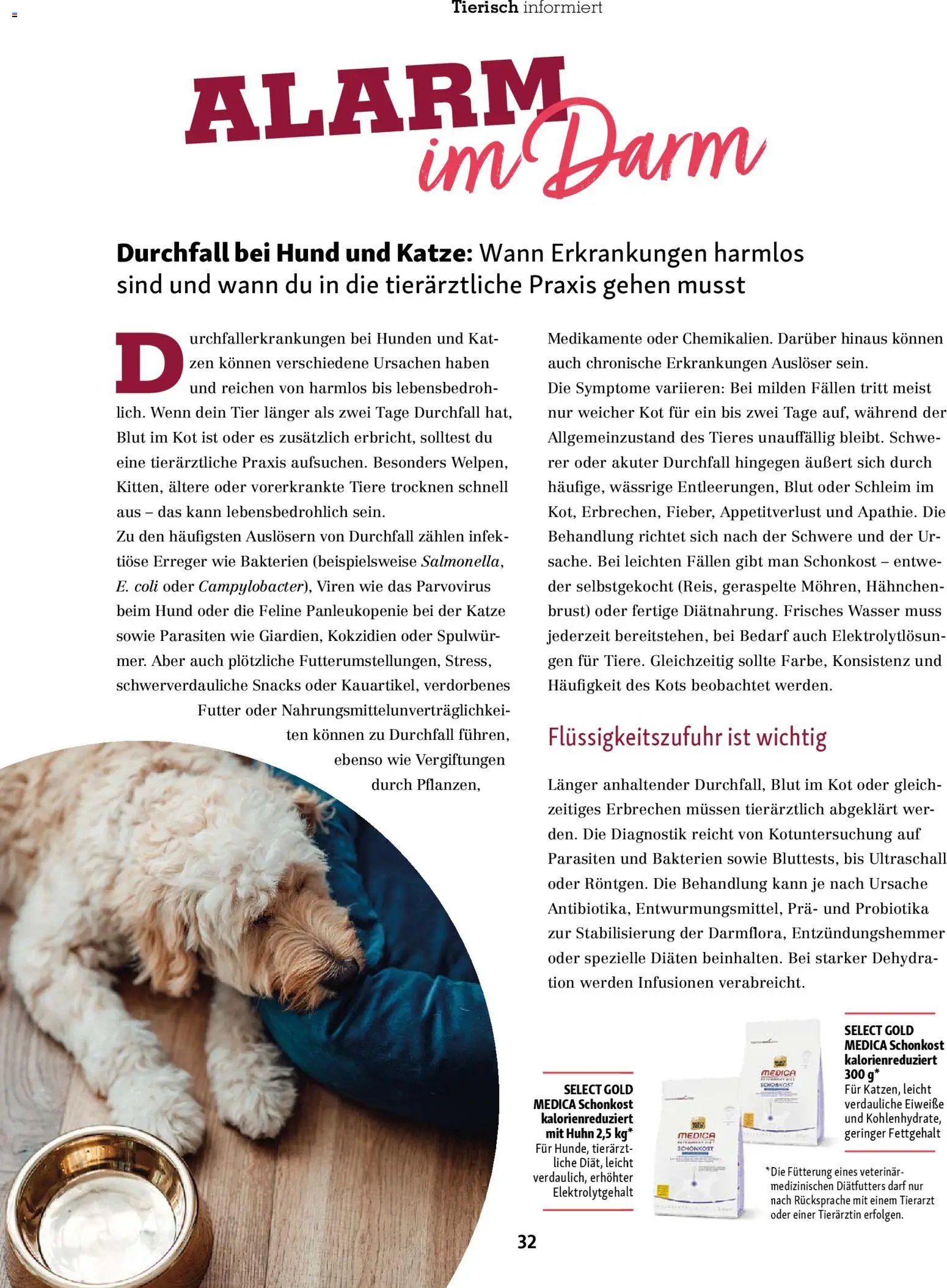 Fressnapf prospekt seit 01.11.2025 Friends Magazin (2025-11-01 - 2025-12-31)