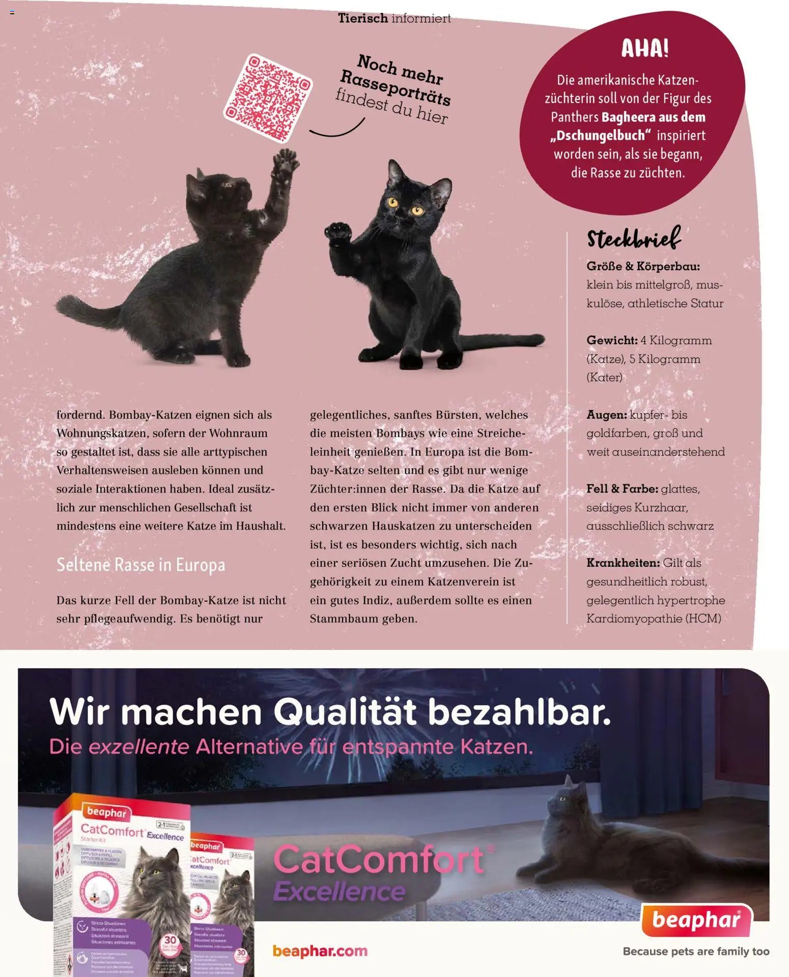 Fressnapf prospekt seit 01.11.2025 Friends Magazin (2025-11-01 - 2025-12-31)