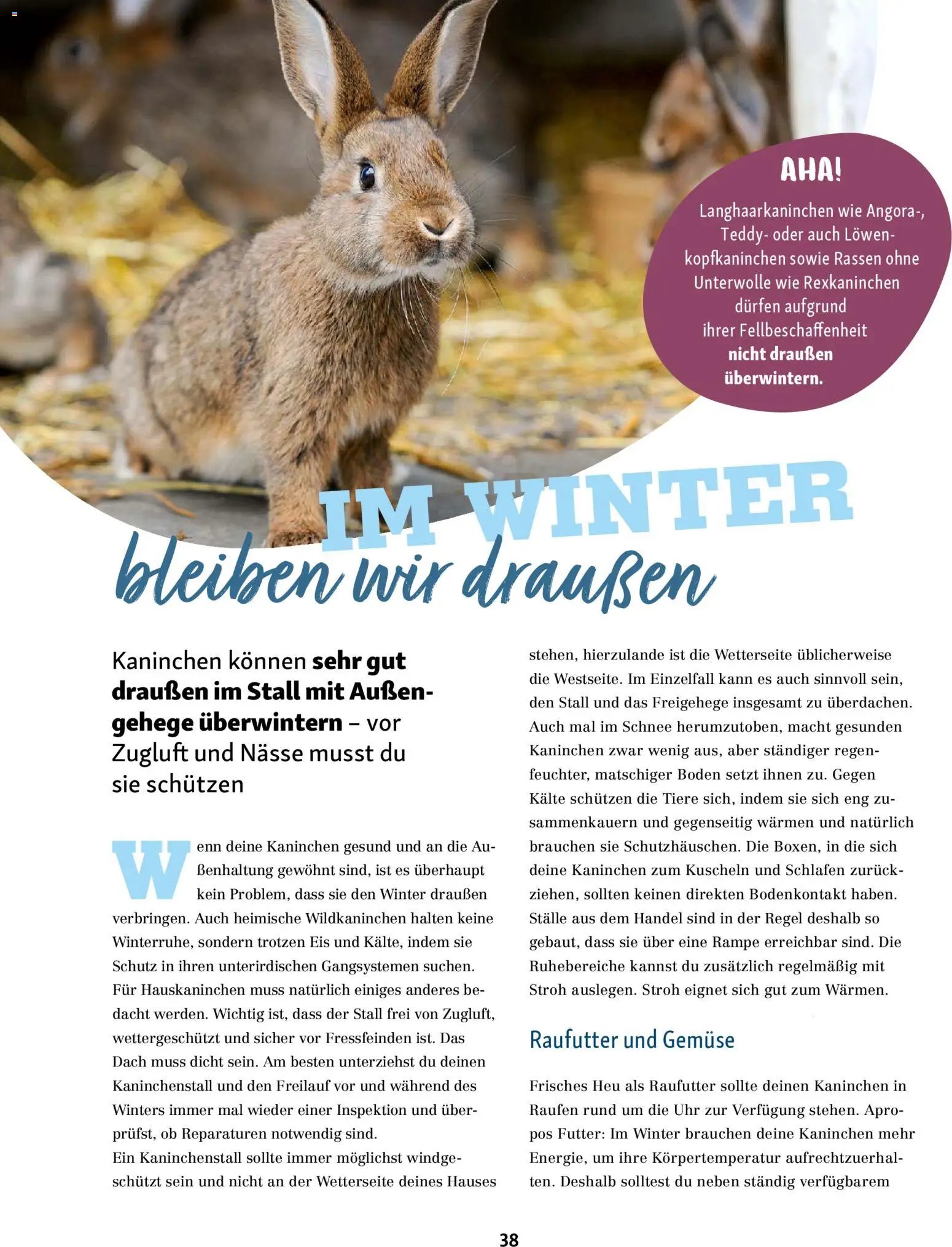 Fressnapf prospekt seit 01.11.2025 Friends Magazin (2025-11-01 - 2025-12-31)