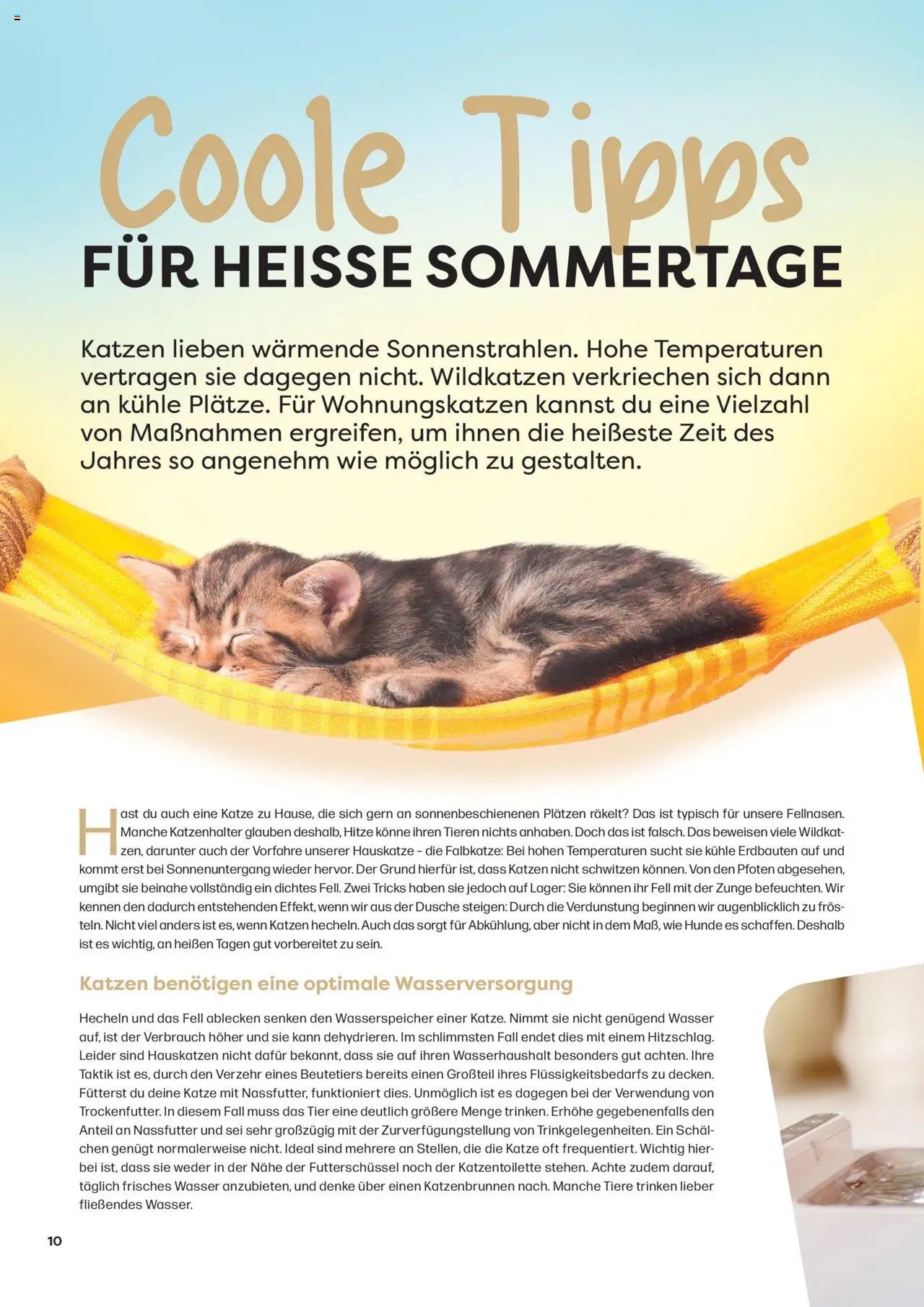 Zoo & co prospekt seit 08.06.2025 Prospekt Freunde (2025-06-08) | 10