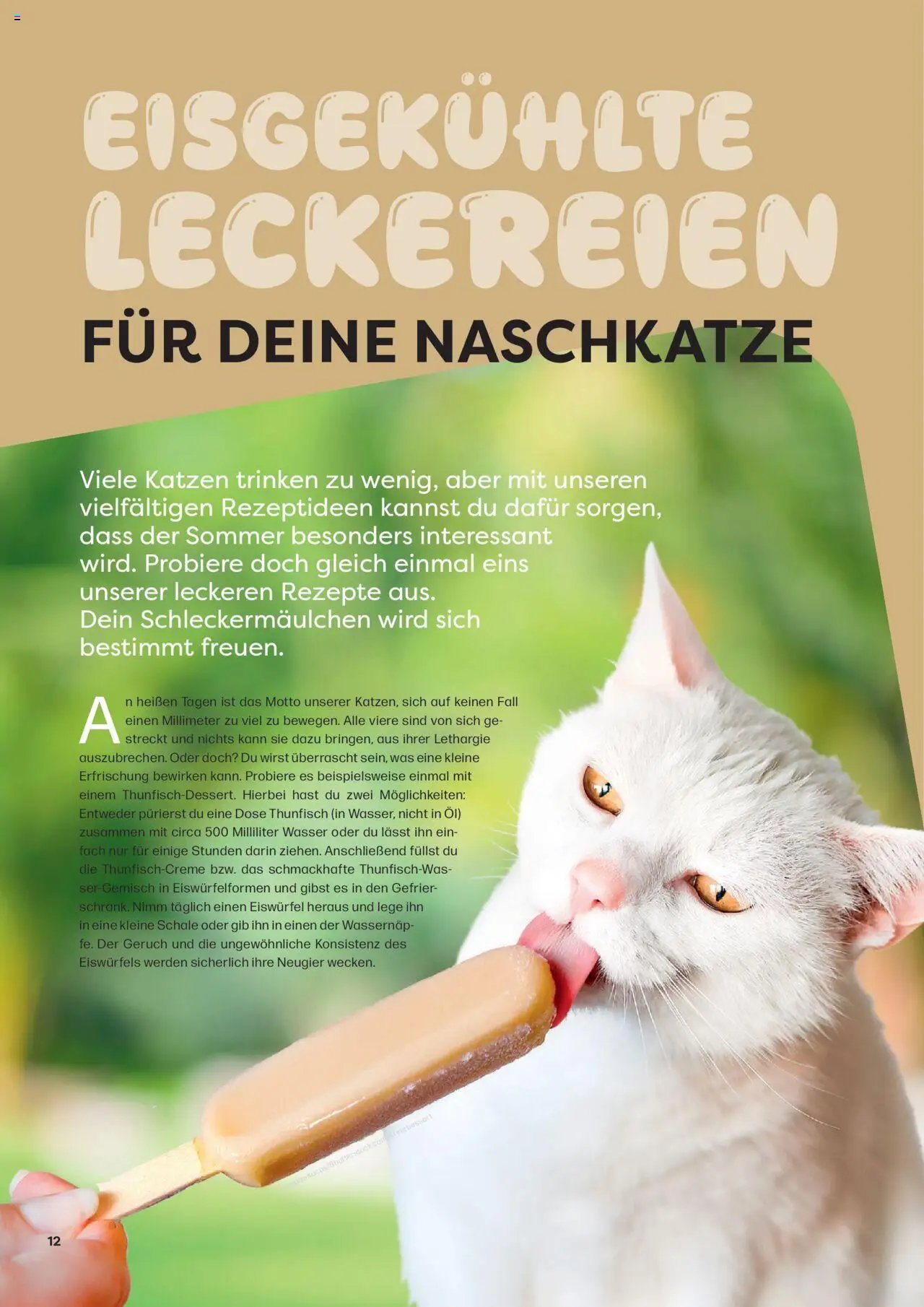 Zoo & co prospekt seit 08.06.2025 Prospekt Freunde (2025-06-08) | 12