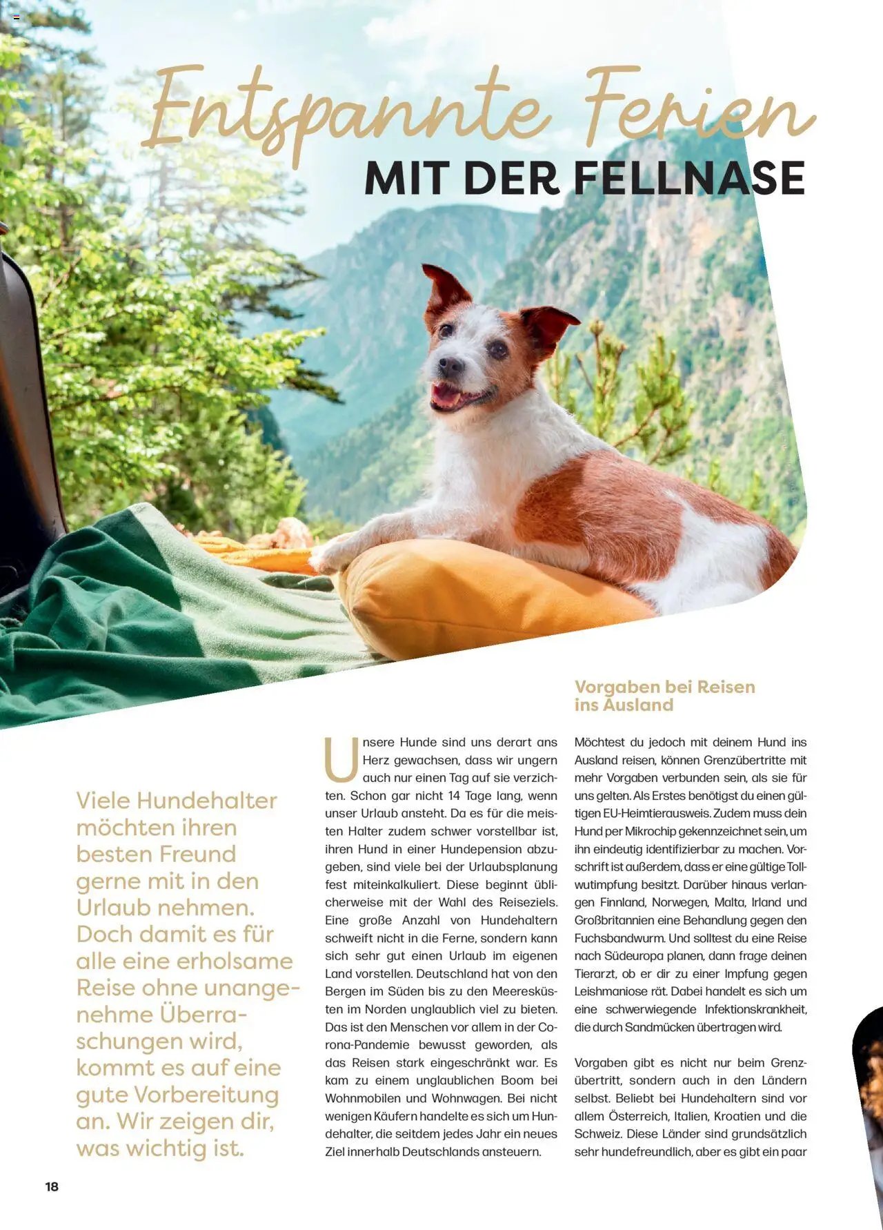 Zoo & co prospekt seit 08.06.2025 Prospekt Freunde (2025-06-08) | 18