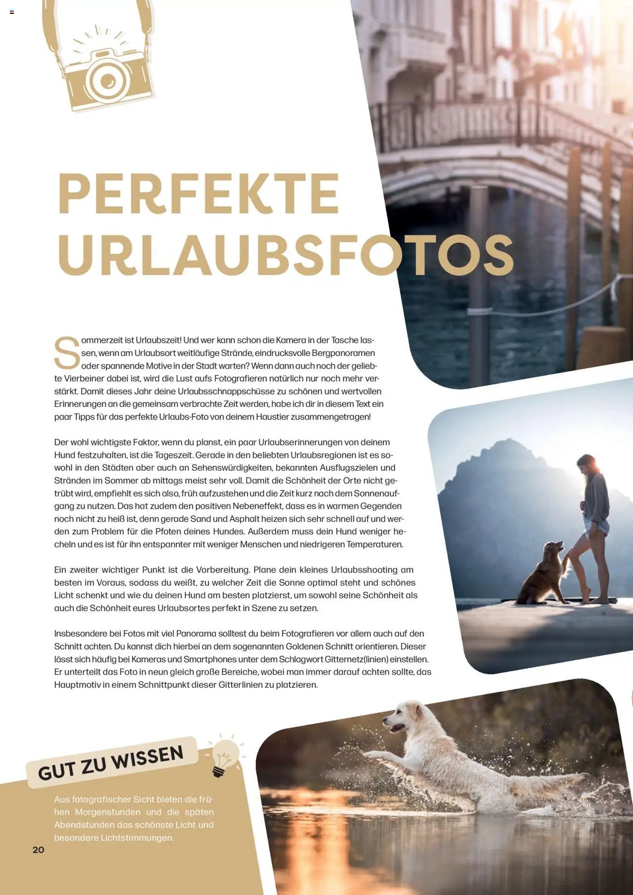 Zoo & co prospekt seit 08.06.2025 Prospekt Freunde (2025-06-08) | 20