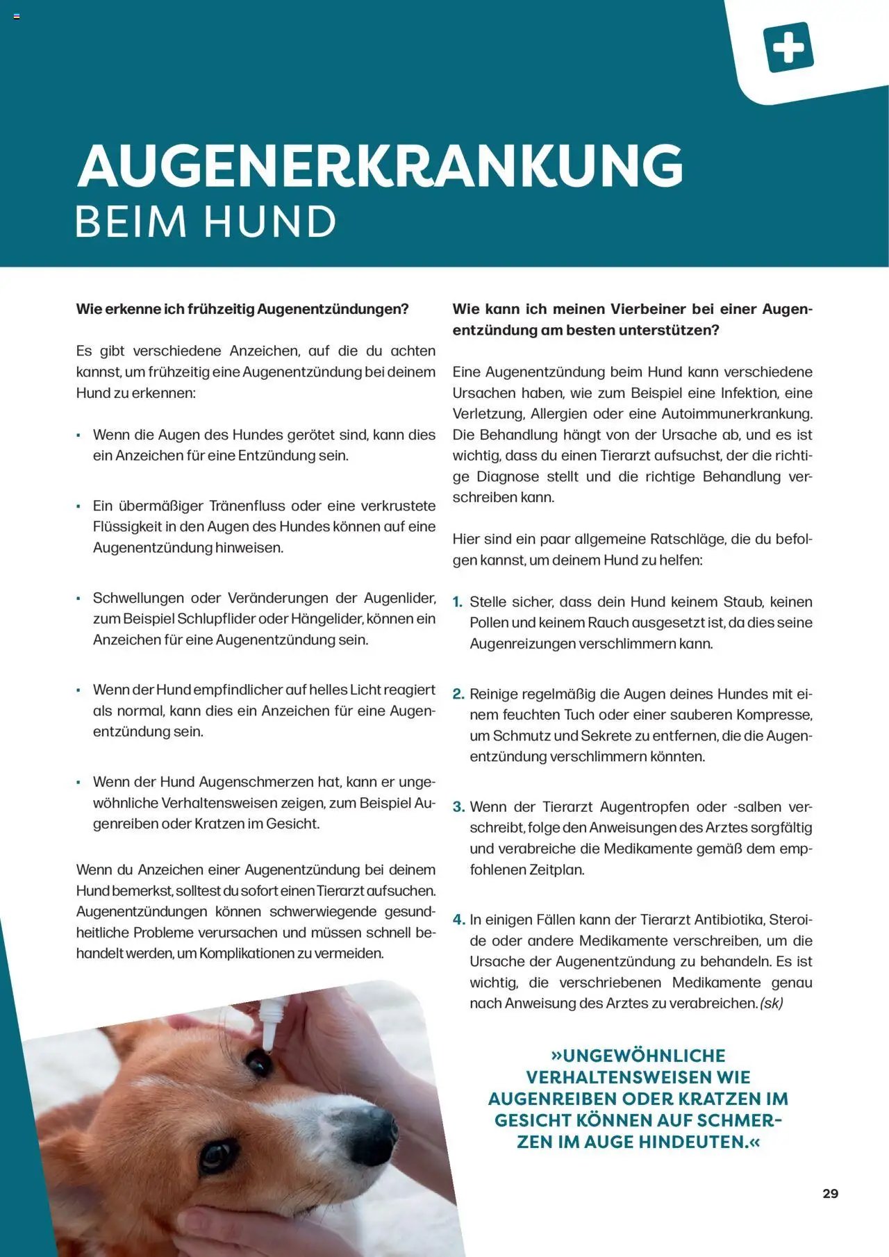 Zoo & co prospekt seit 08.06.2025 Prospekt Freunde (2025-06-08) | 29