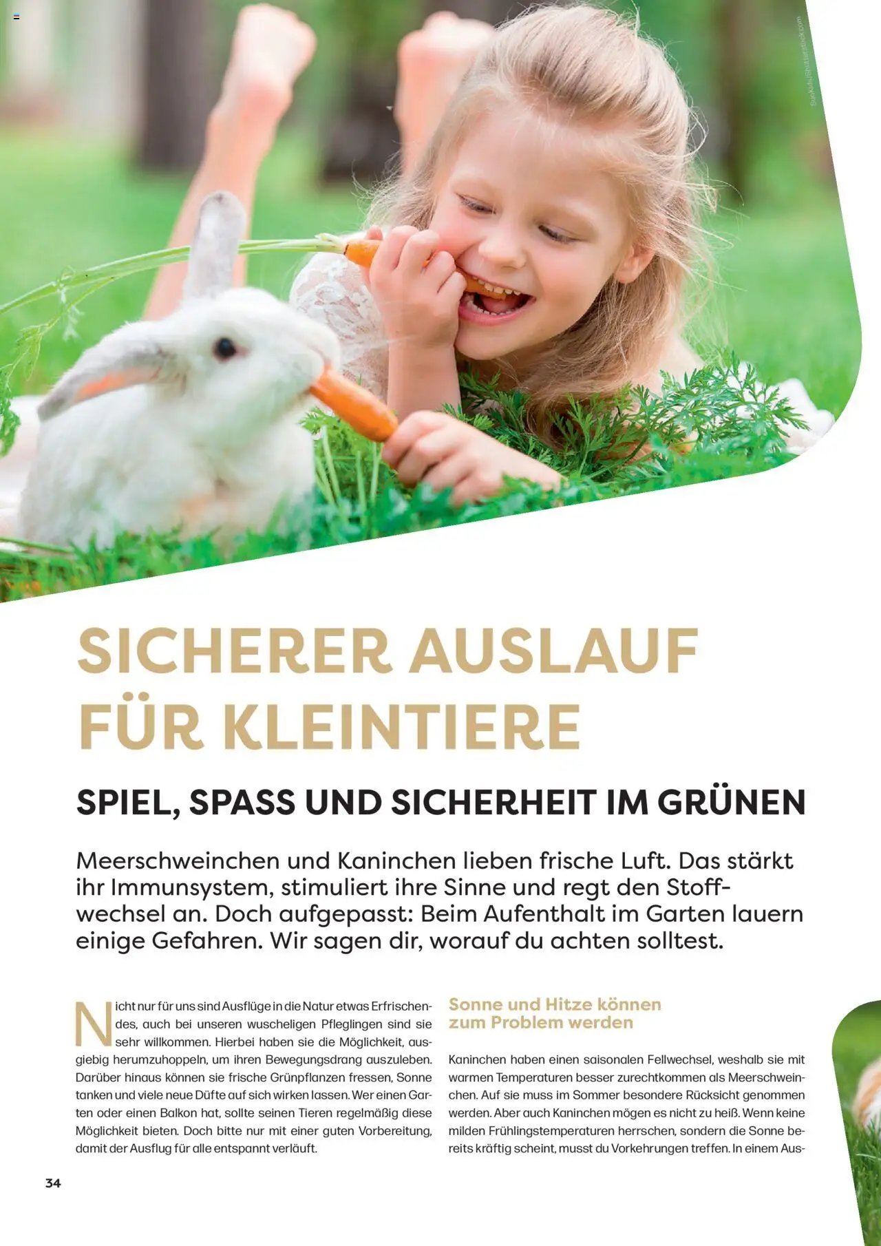 Zoo & co prospekt seit 08.06.2025 Prospekt Freunde (2025-06-08) | 34