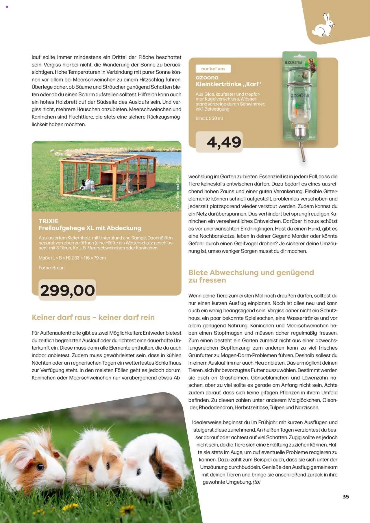 Zoo & co prospekt seit 08.06.2025 Prospekt Freunde (2025-06-08) | 35