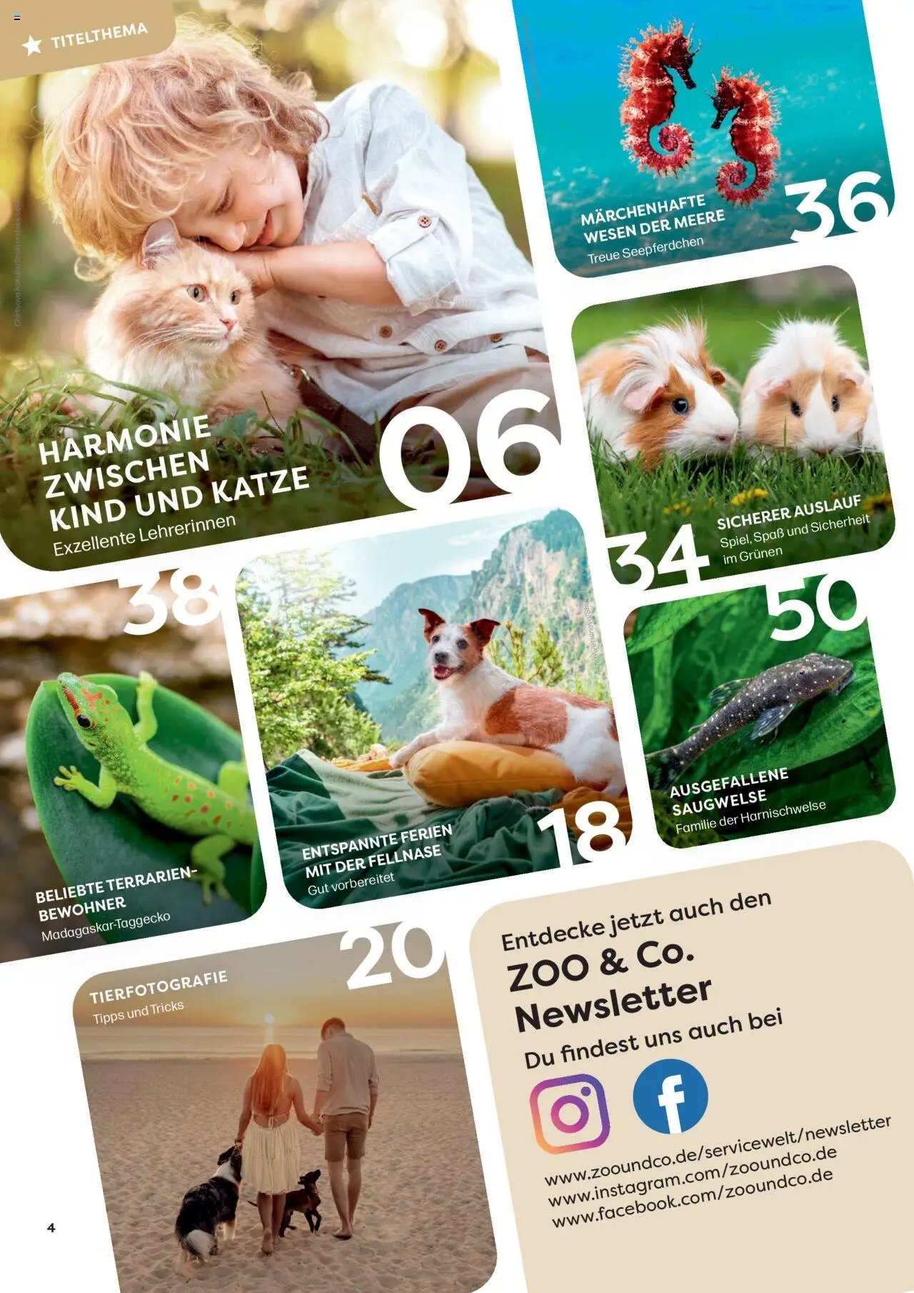 Zoo & co prospekt seit 08.06.2025 Prospekt Freunde (2025-06-08) | 4