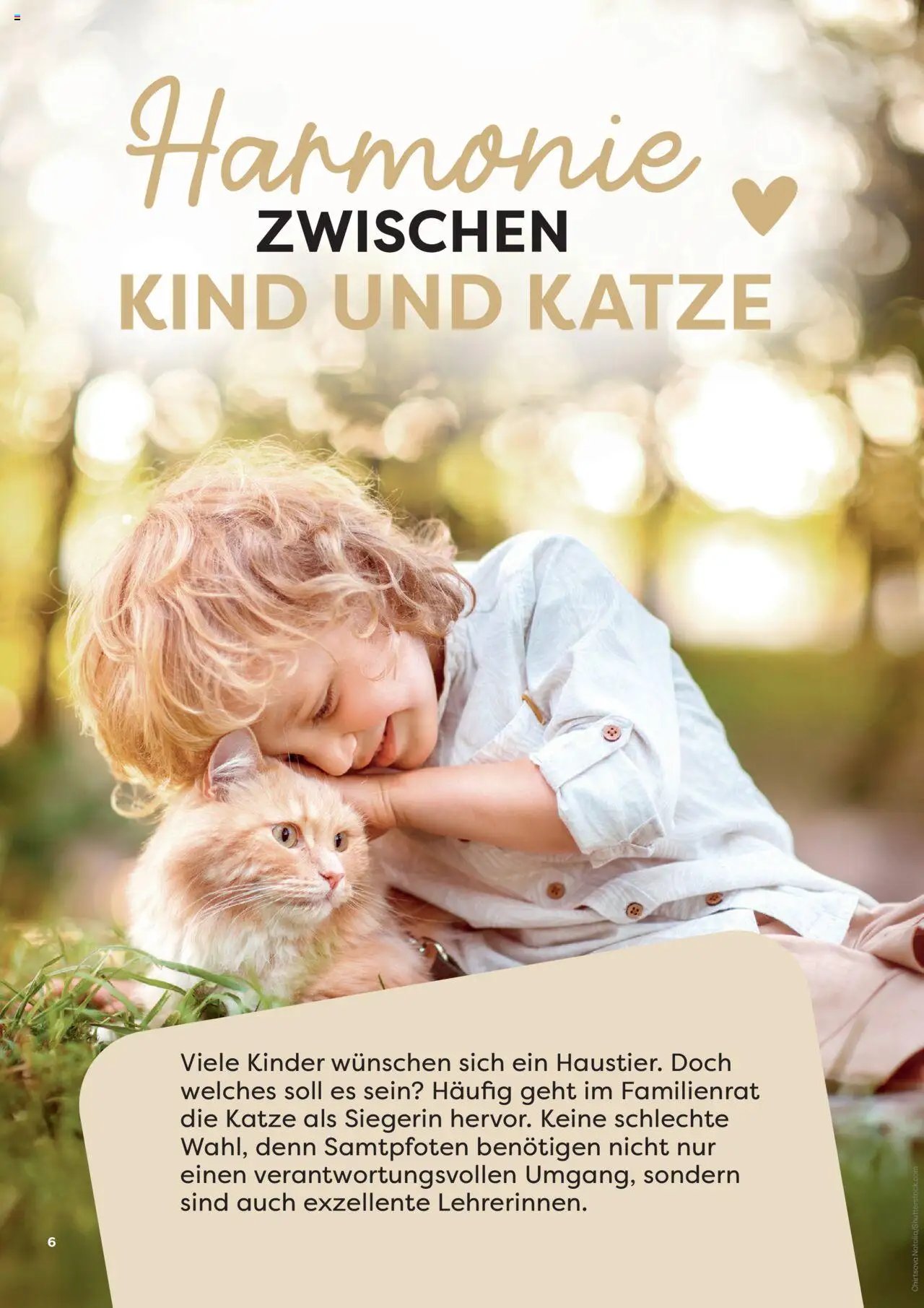 Zoo & co prospekt seit 08.06.2025 Prospekt Freunde (2025-06-08) | 6