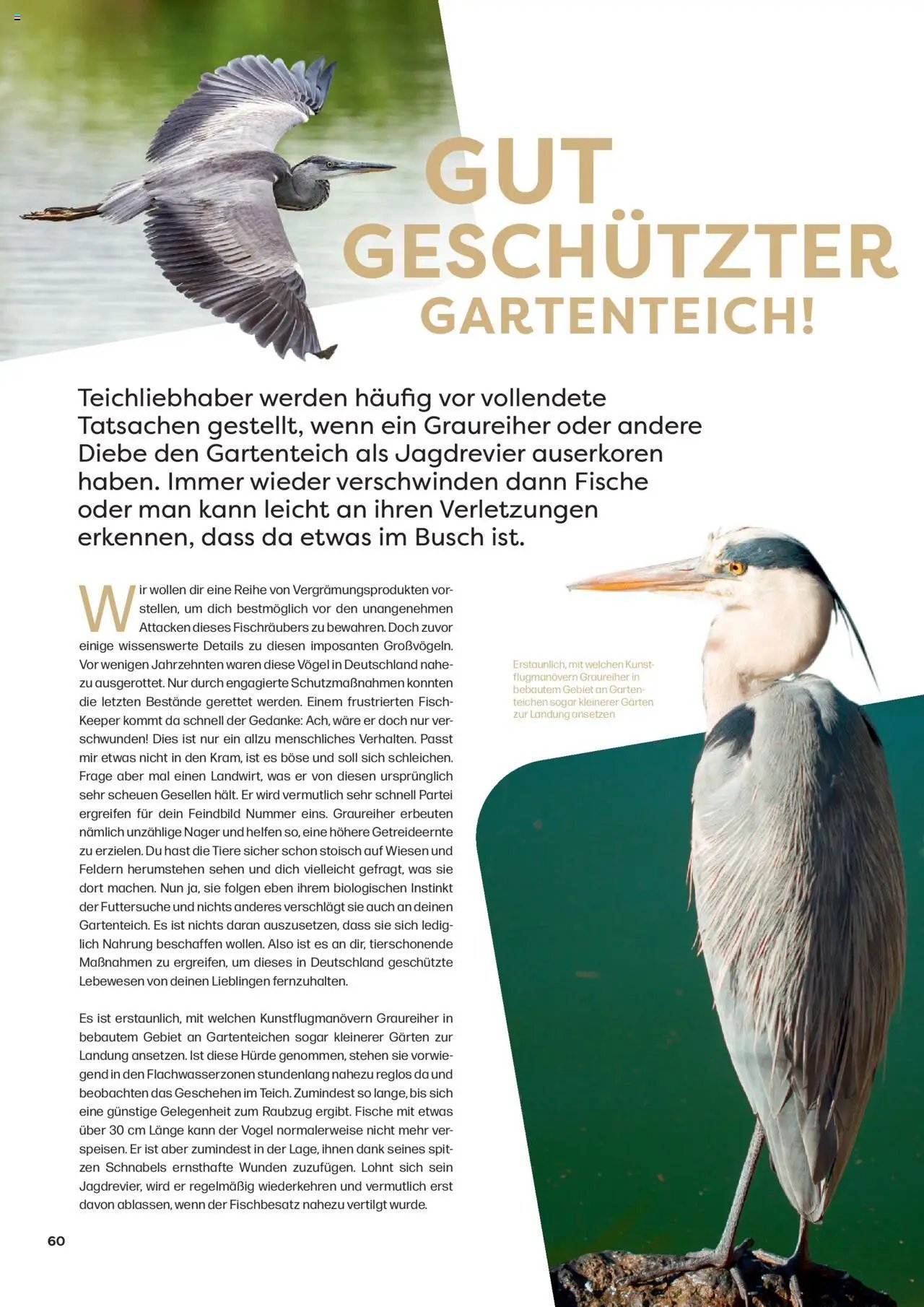 Zoo & co prospekt seit 08.06.2025 Prospekt Freunde (2025-06-08) | 60
