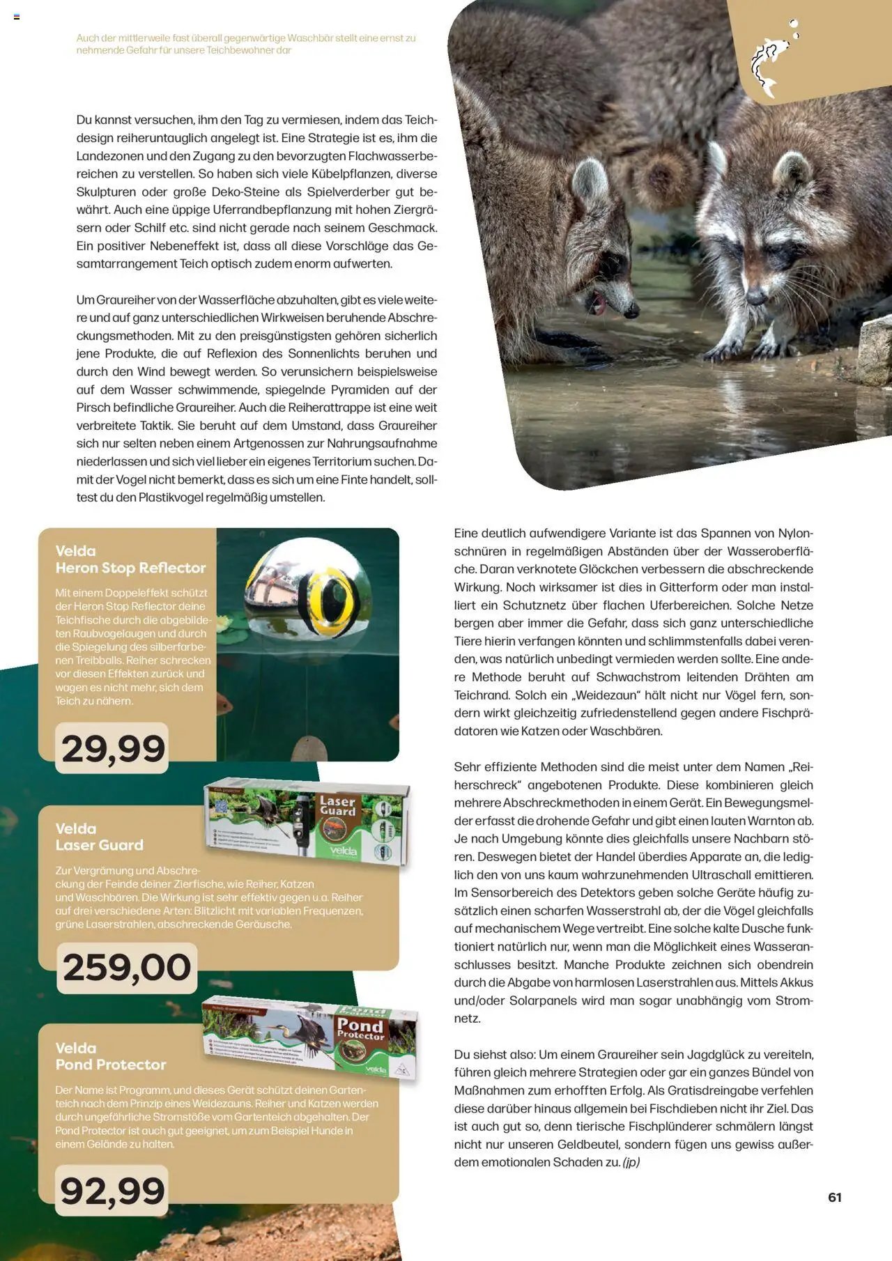 Zoo & co prospekt seit 08.06.2025 Prospekt Freunde (2025-06-08) | 61