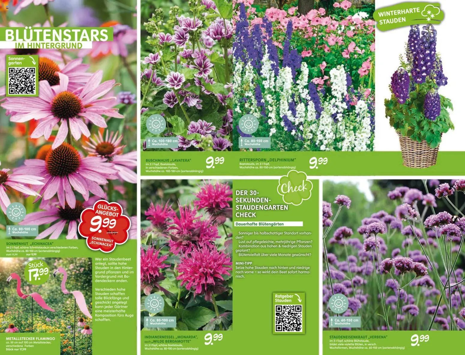 Blumen Risse prospekt seit 28.05.2026 Blumen Risse Blütenglück Blumenmarkt