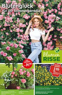 Blumen Risse prospekt seit 28.05.2026 Blumen Risse Blütenglück Blumenmarkt