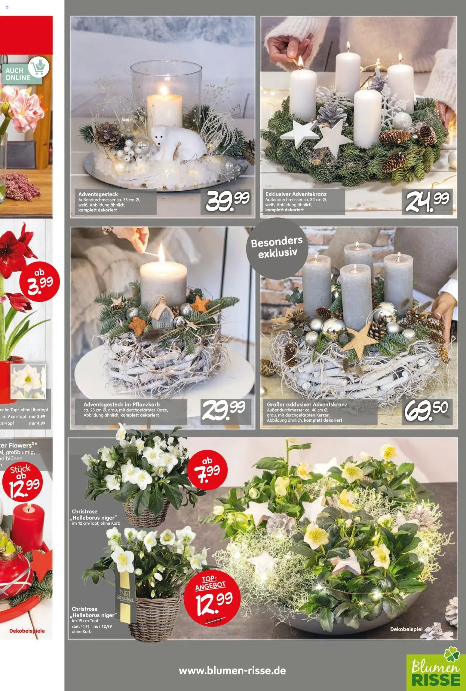 Blumen Risse prospekt seit 13.11.2025 Prospekt Blumenmärkte