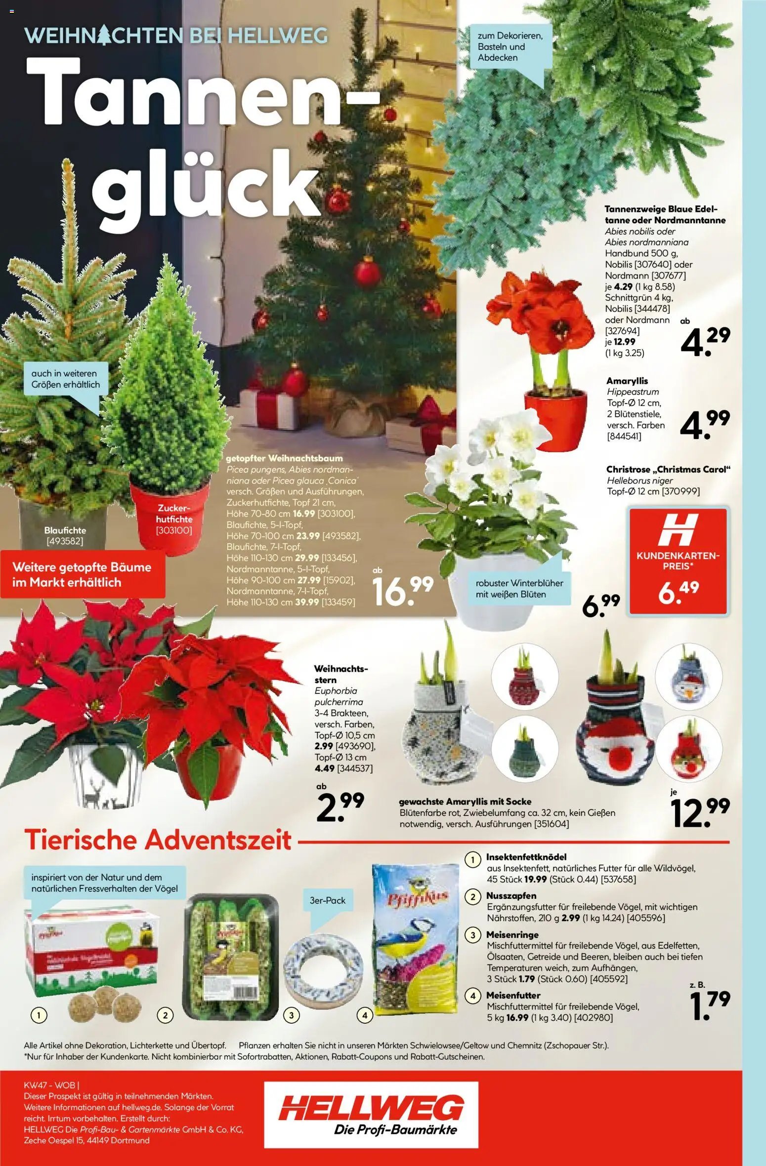 Hellweg prospekt seit 17.11.2025 Prospekt (2025-11-17 - 2025-11-22)