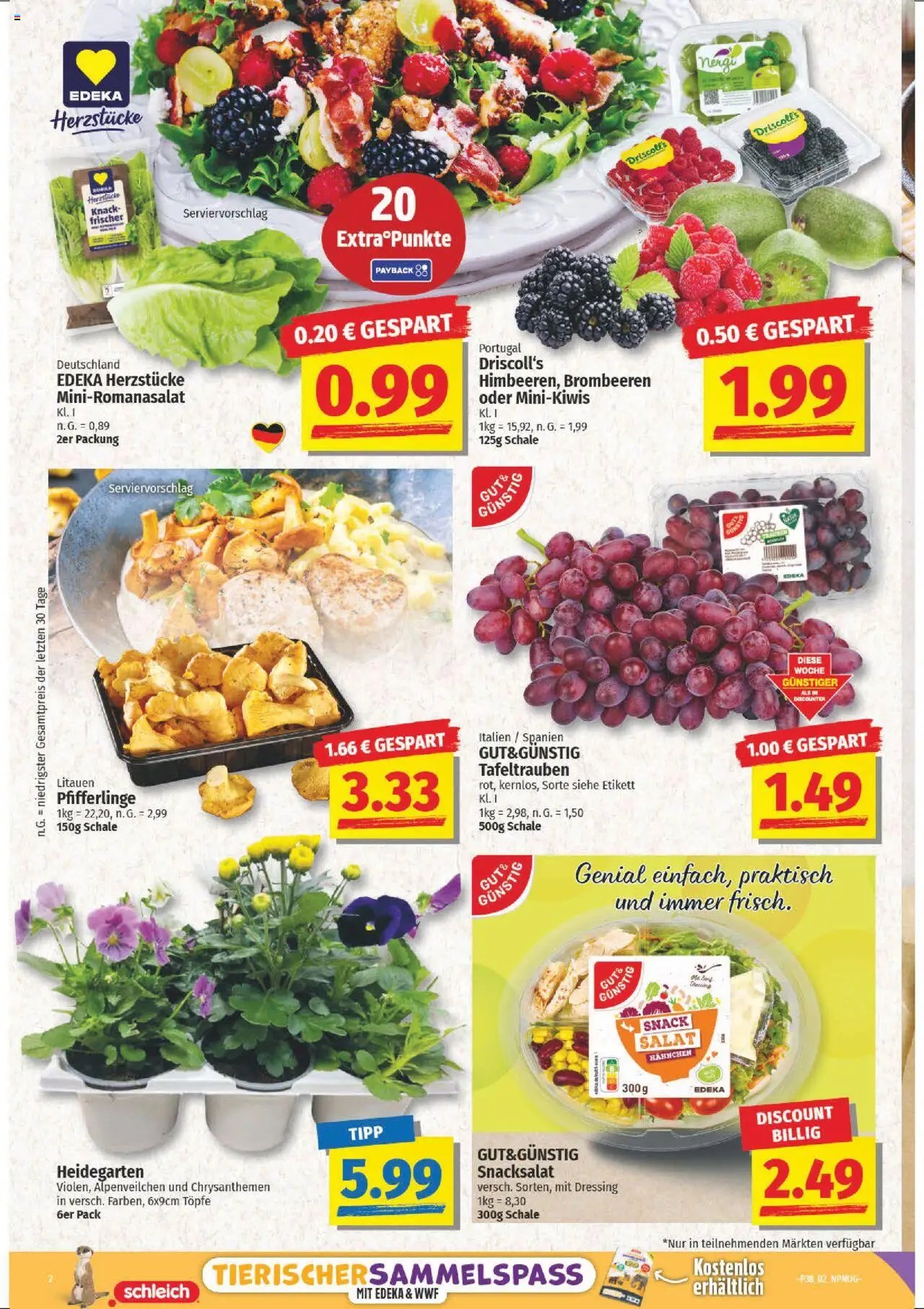 NP Discount prospekt seit 15.09.2025 Prospekt (2025-09-15 - 2025-09-20) | 2