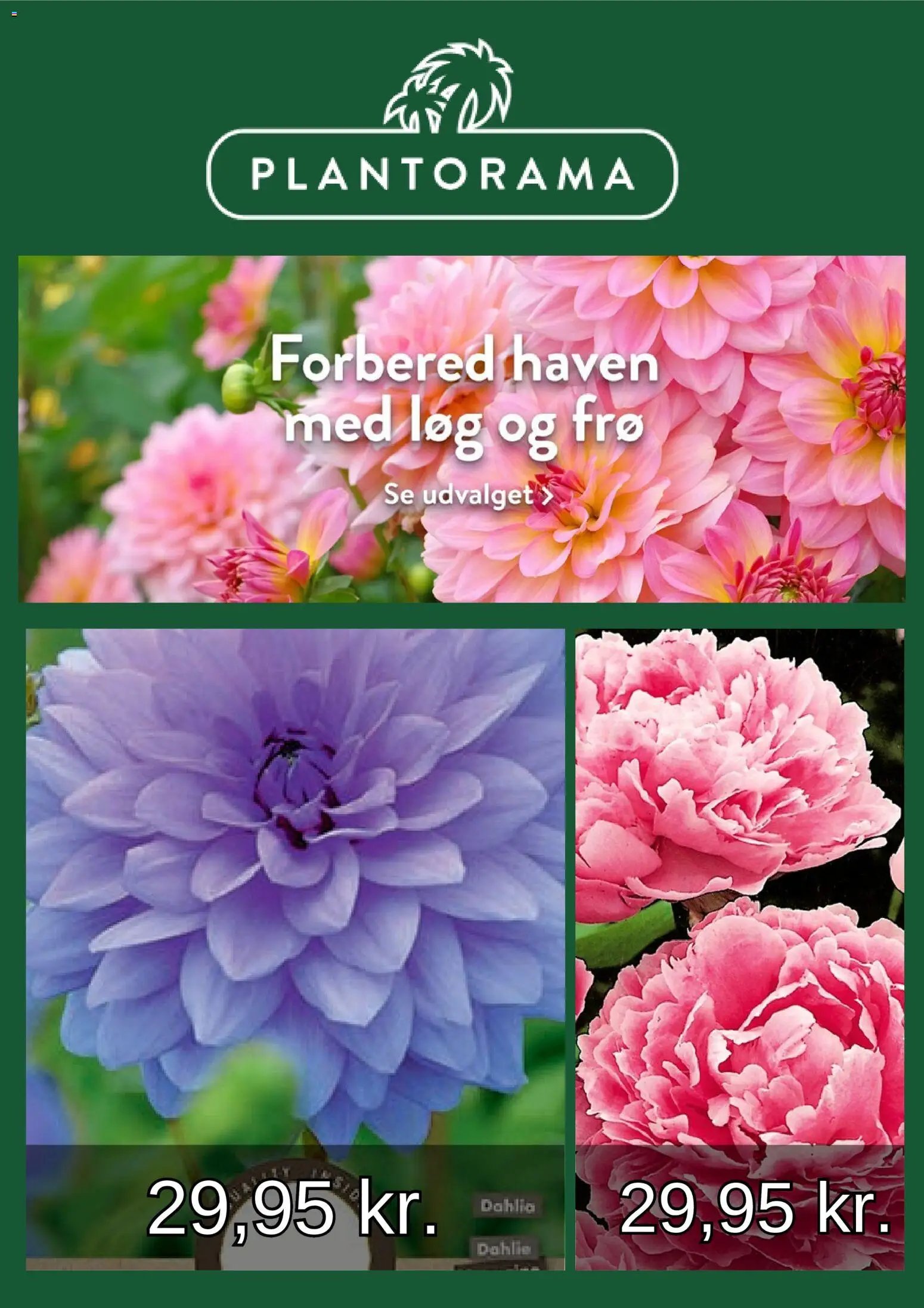 Plantorama tilbudsavis fra 01/03/2026 Plantorama - Tilbudsavis
