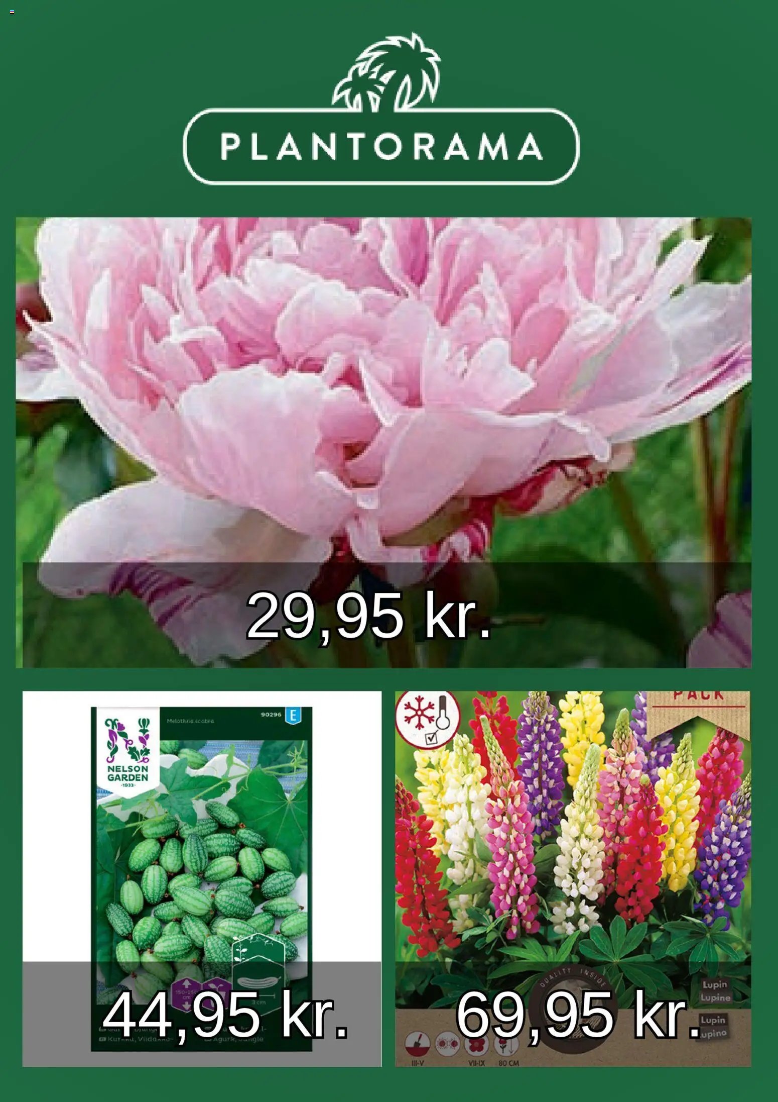 Plantorama tilbudsavis fra 01/03/2026 Plantorama - Tilbudsavis