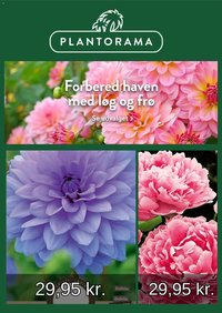 Plantorama tilbudsavis fra 01/03/2026 Plantorama - Tilbudsavis