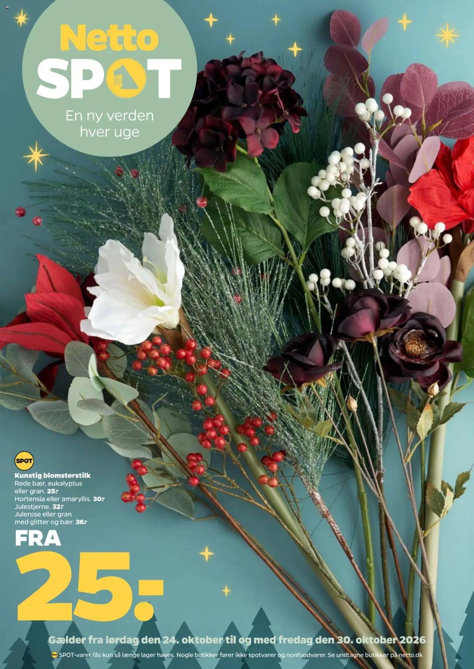 Nye Netto tilbud fra 24/10/2026