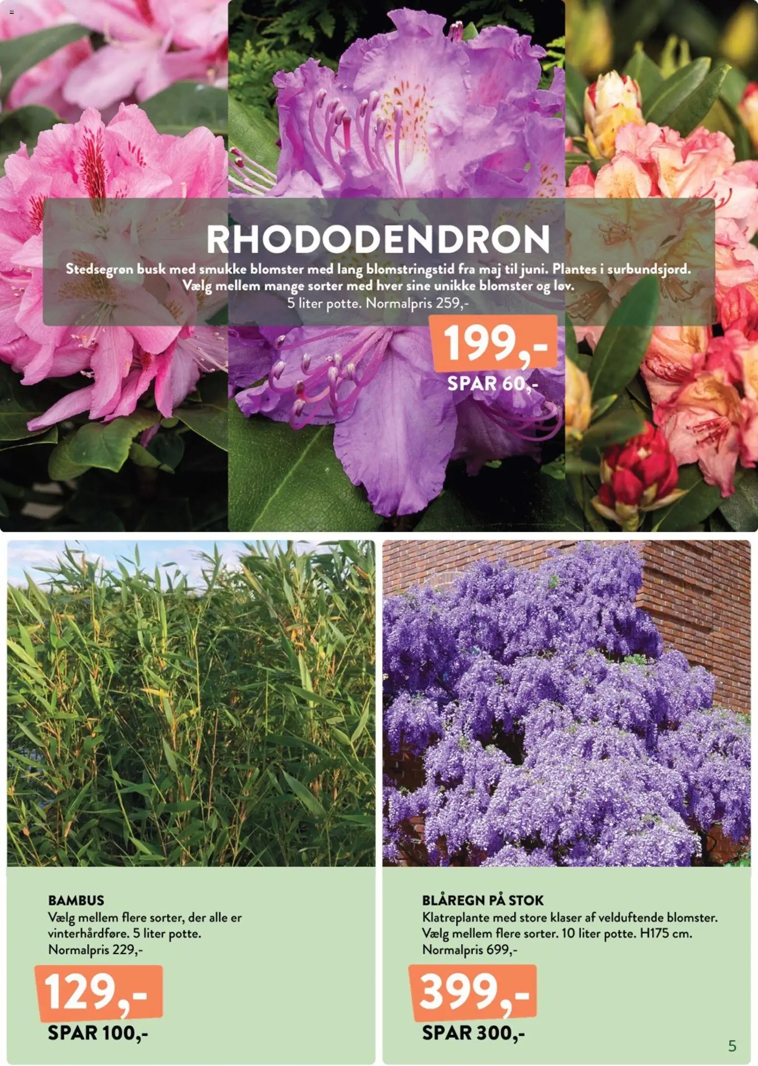 Plantorama tilbudsavis fra 10/04/2026 Plantorama - Tilbudsavis