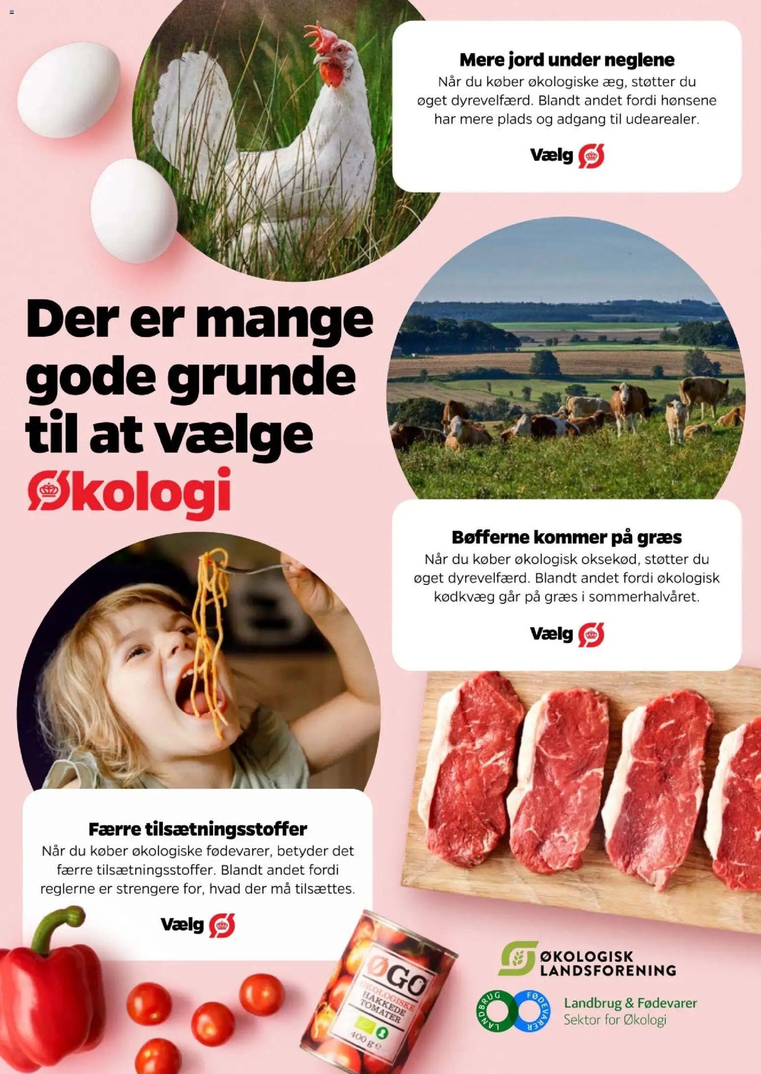 Nye Netto tilbud fra 30/10/2026